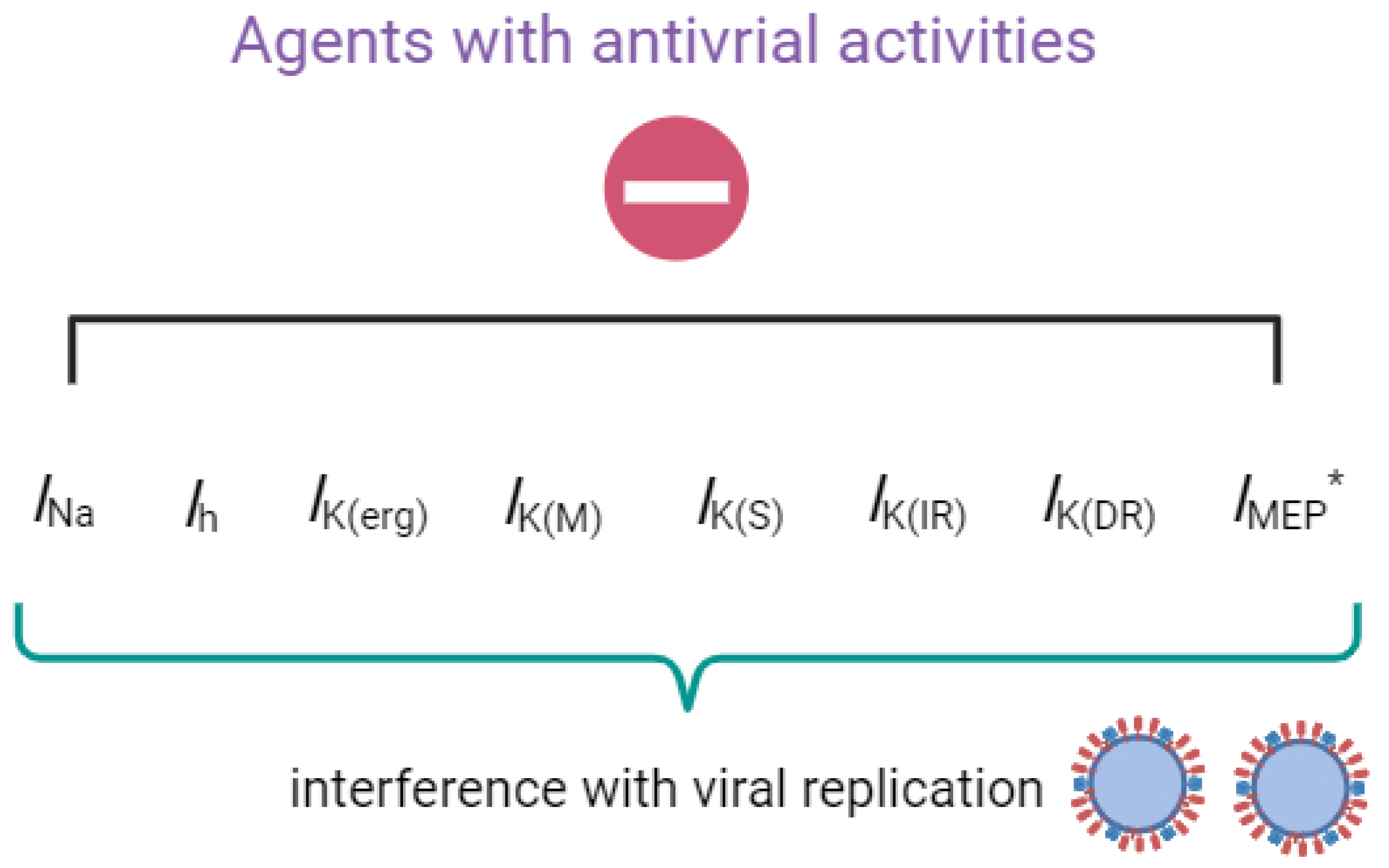 Biophysica 04 00009 g001