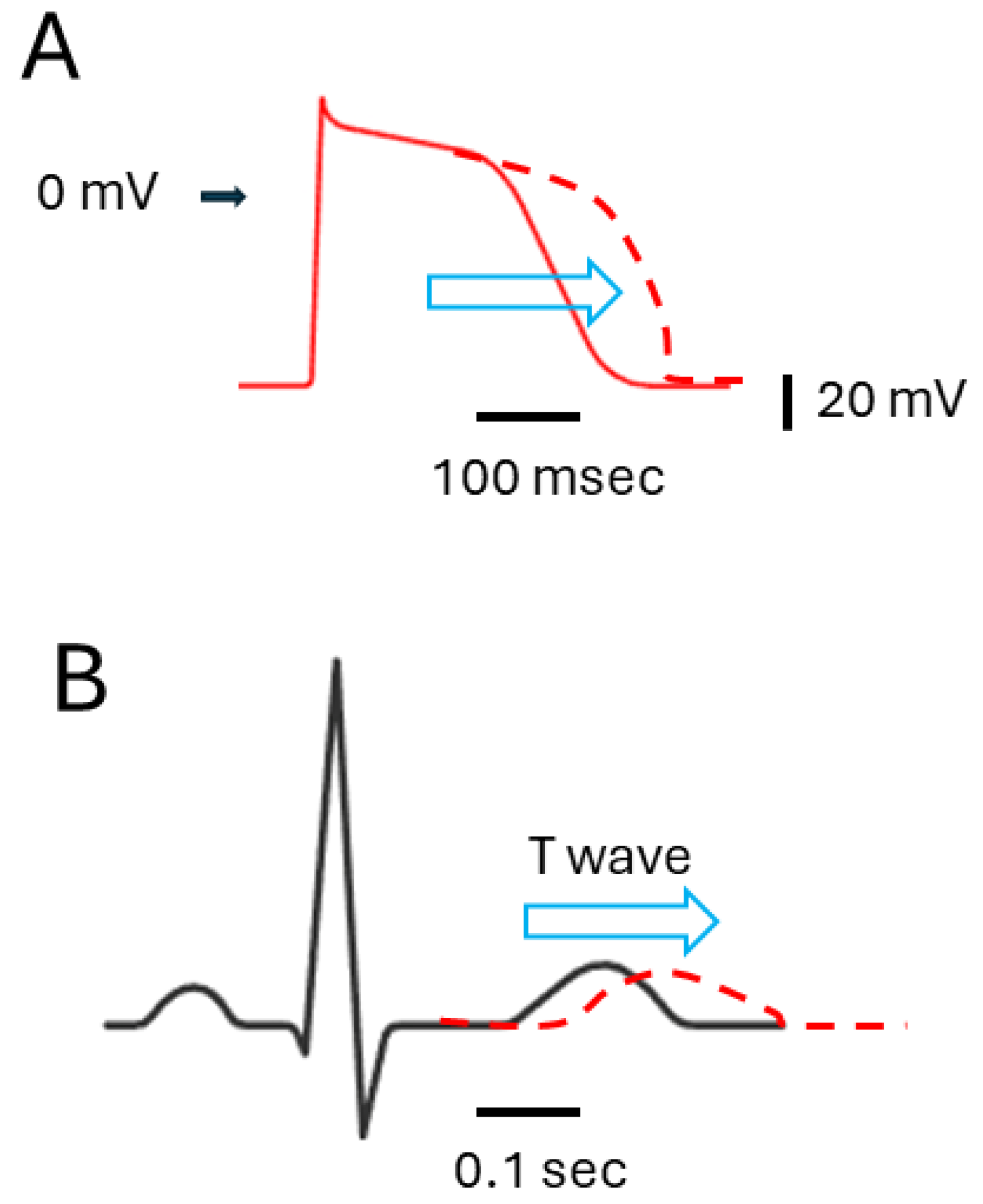 Biophysica 04 00009 g002