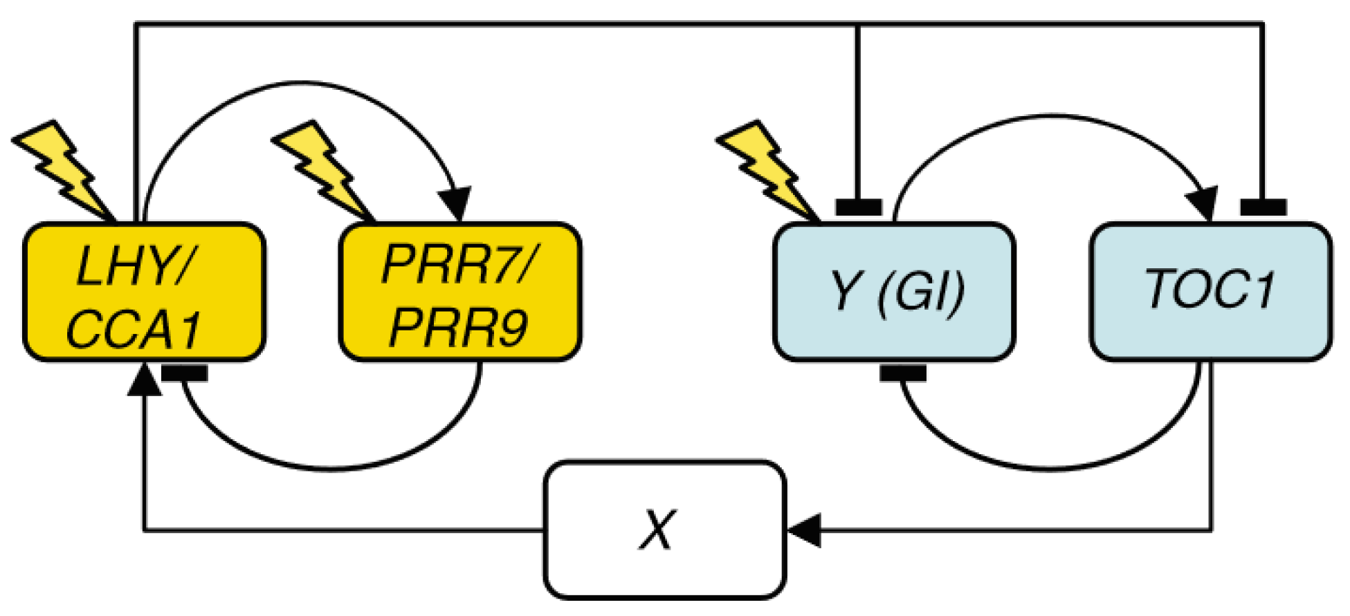 Biophysica 04 00019 g002