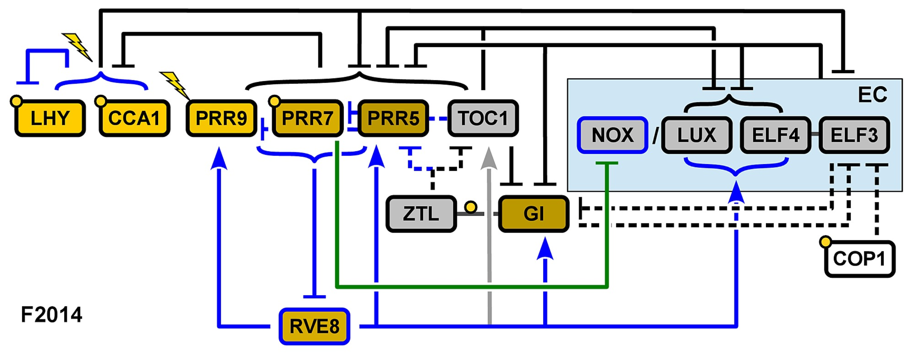 Biophysica 04 00019 g006