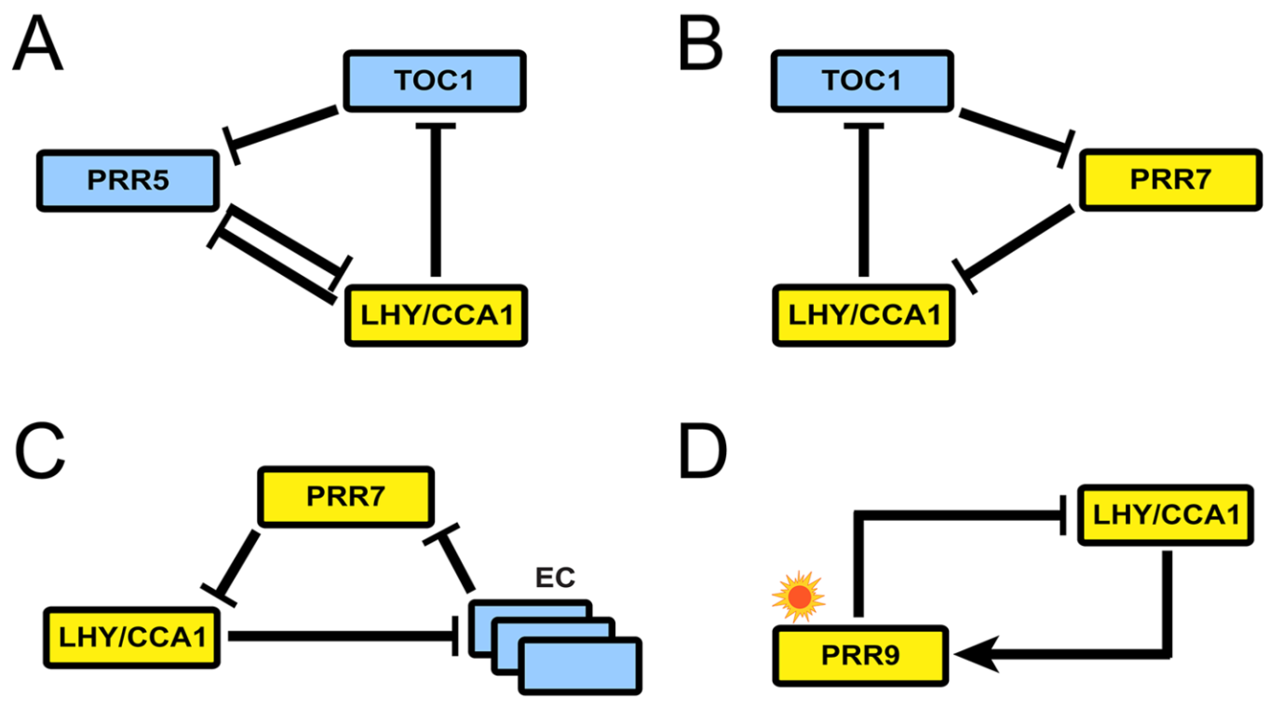 Biophysica 04 00019 g007