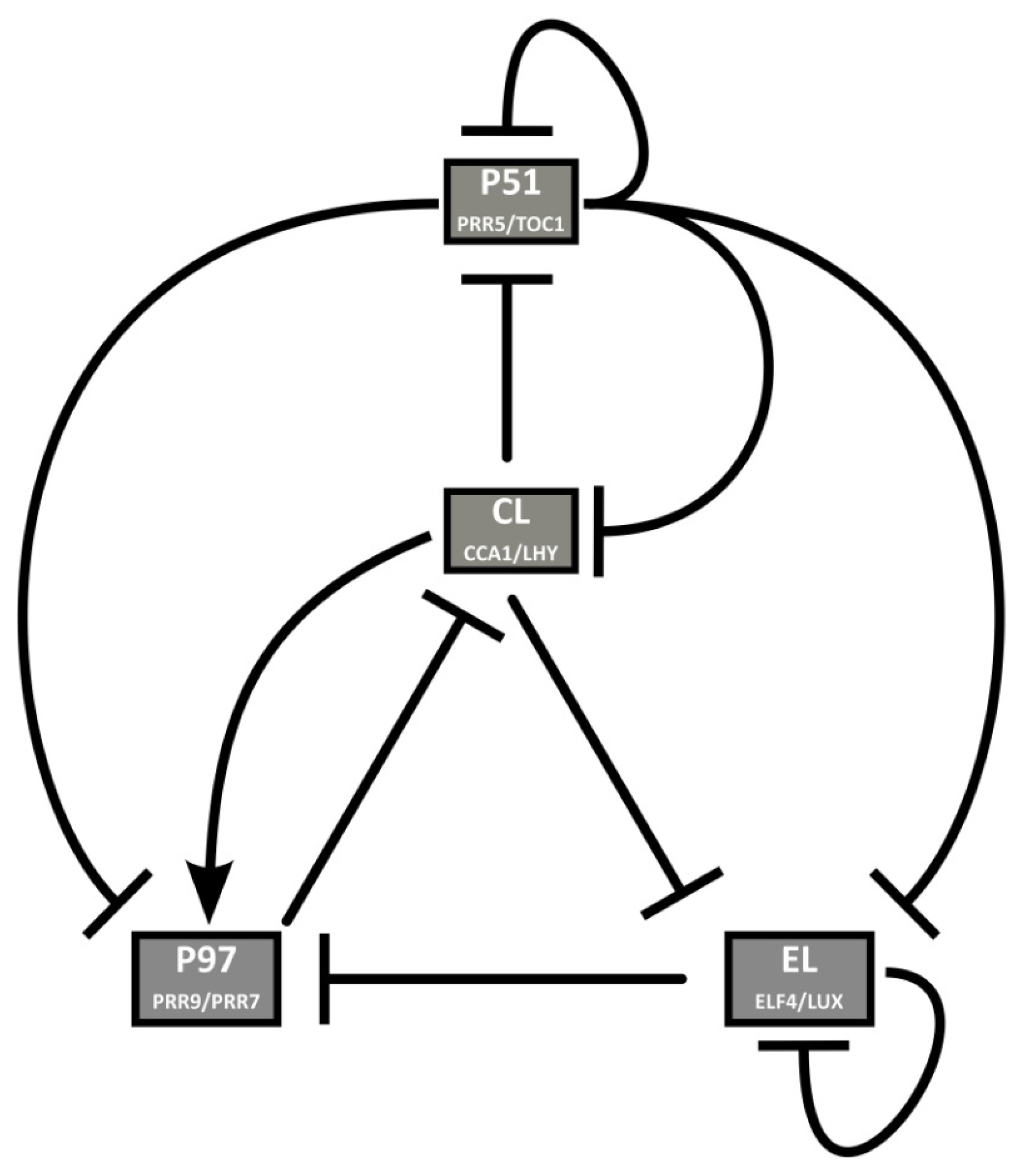 Biophysica 04 00019 g008
