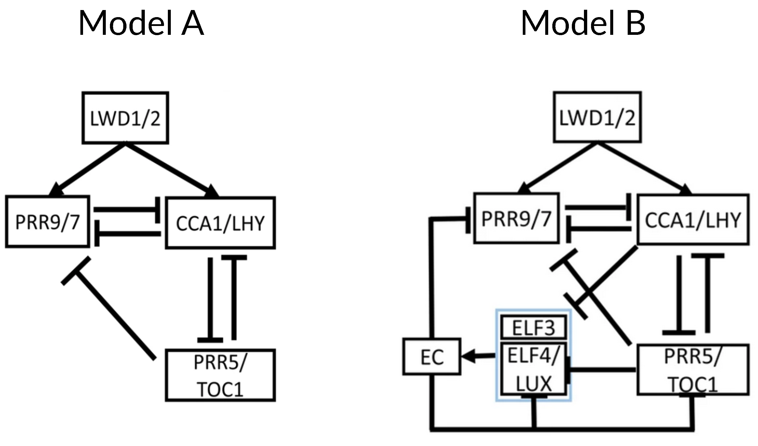 Biophysica 04 00019 g009