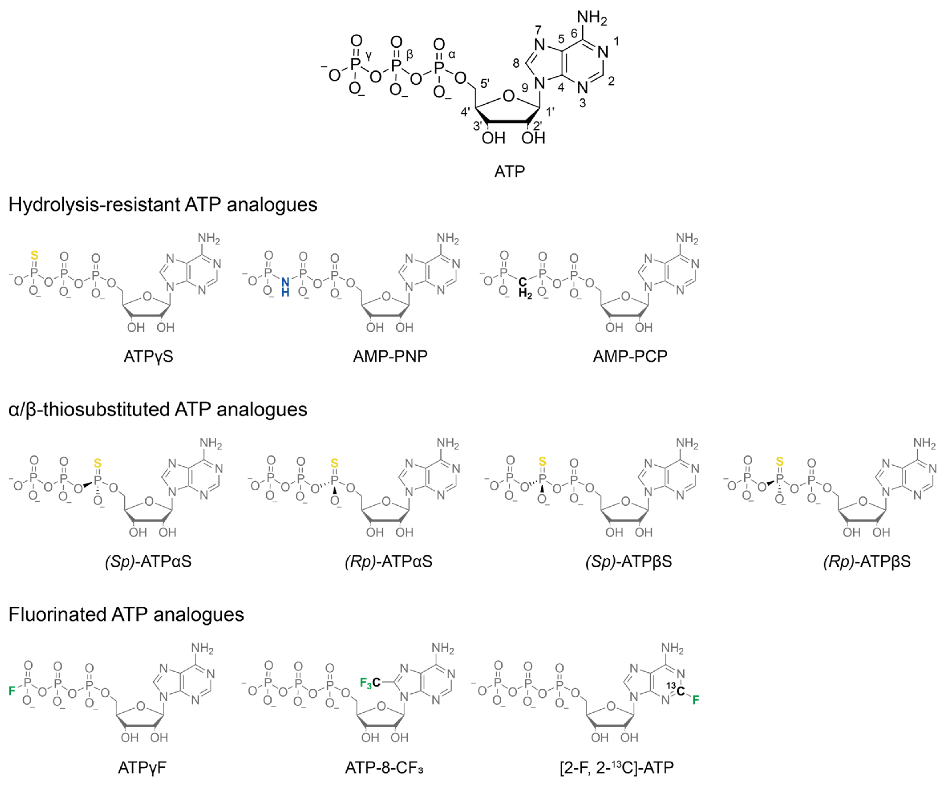 Biophysica 05 00009 g001