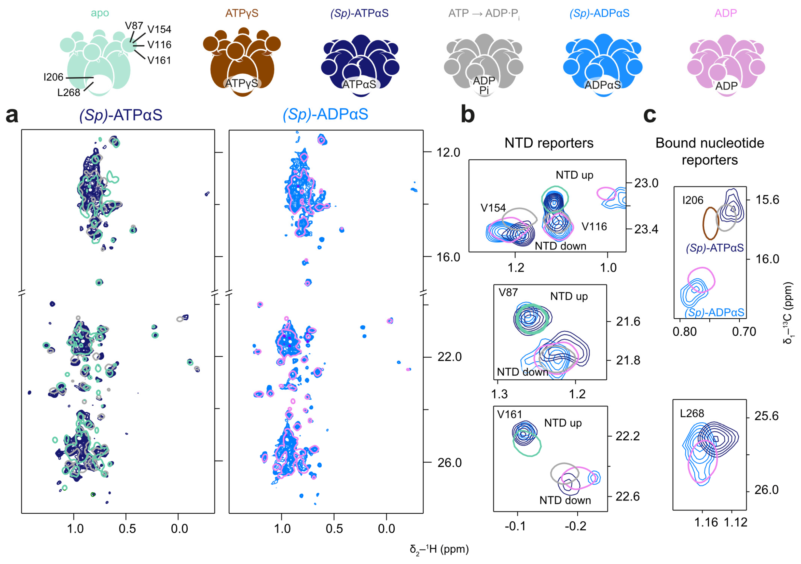 Biophysica 05 00009 g006