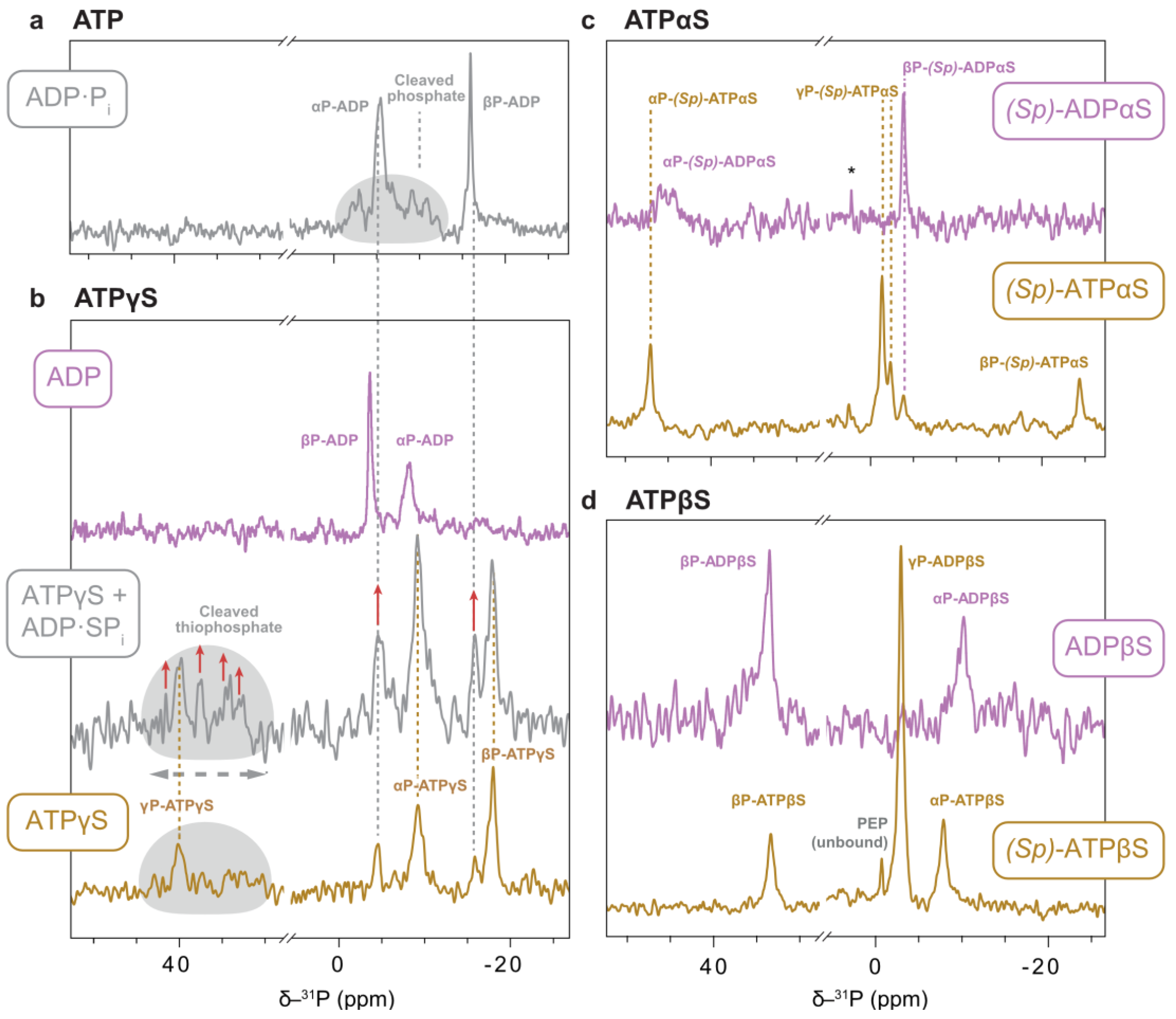 Biophysica 05 00009 g010