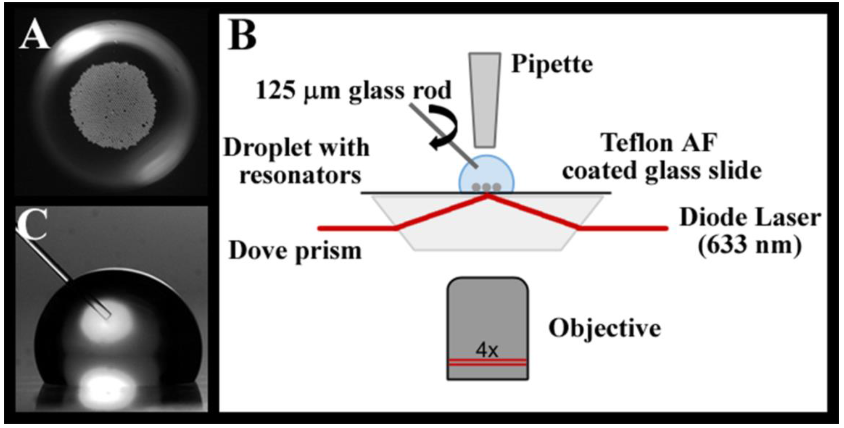 Biosensors | Free Full-Text | Whispering Gallery Mode Resonators for Rapid  Label-Free Biosensing in Small Volume Droplets
