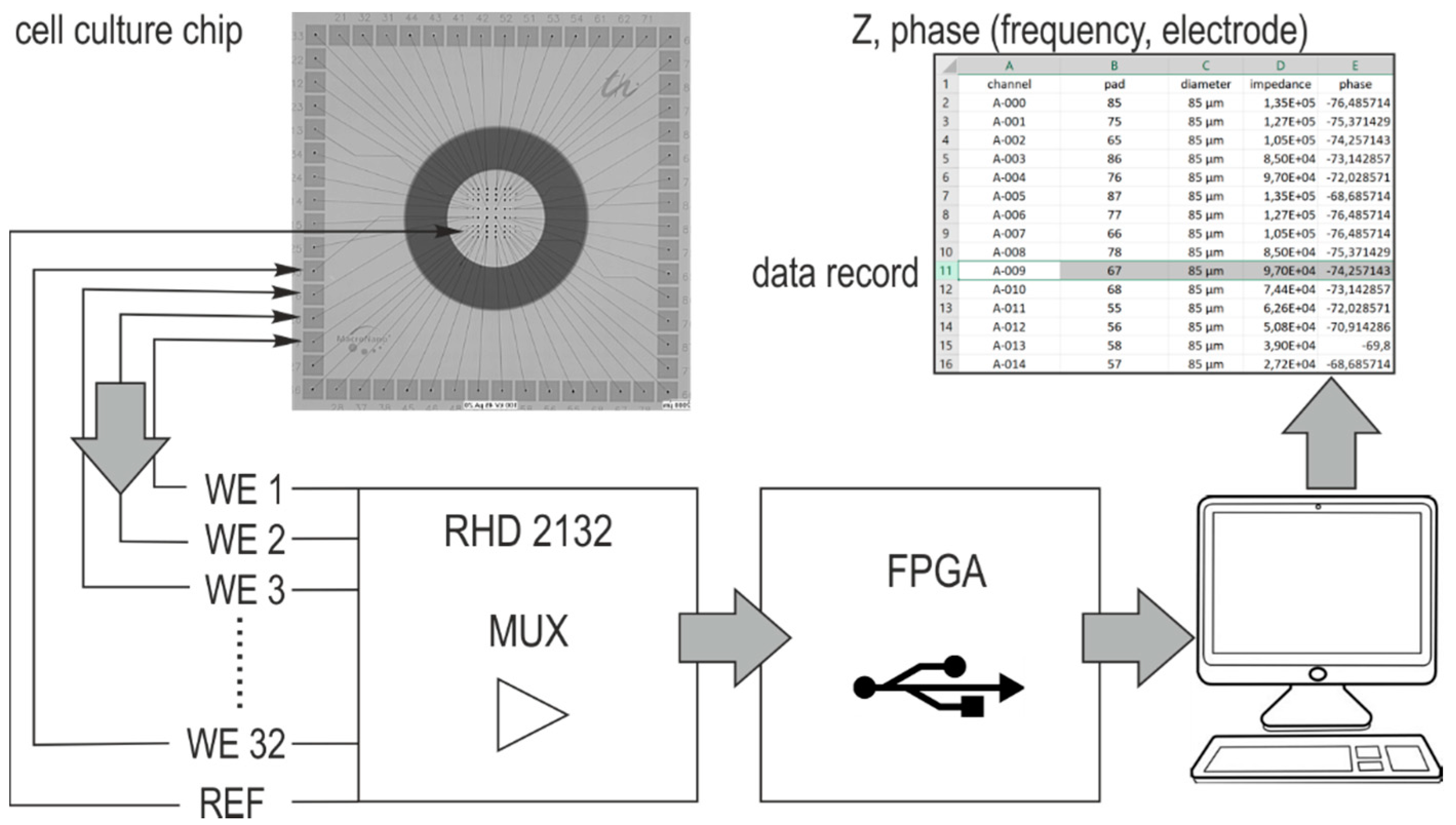 https://www.mdpi.com/biosensors/biosensors-08-00105/article_deploy/html/images/biosensors-08-00105-g003.png