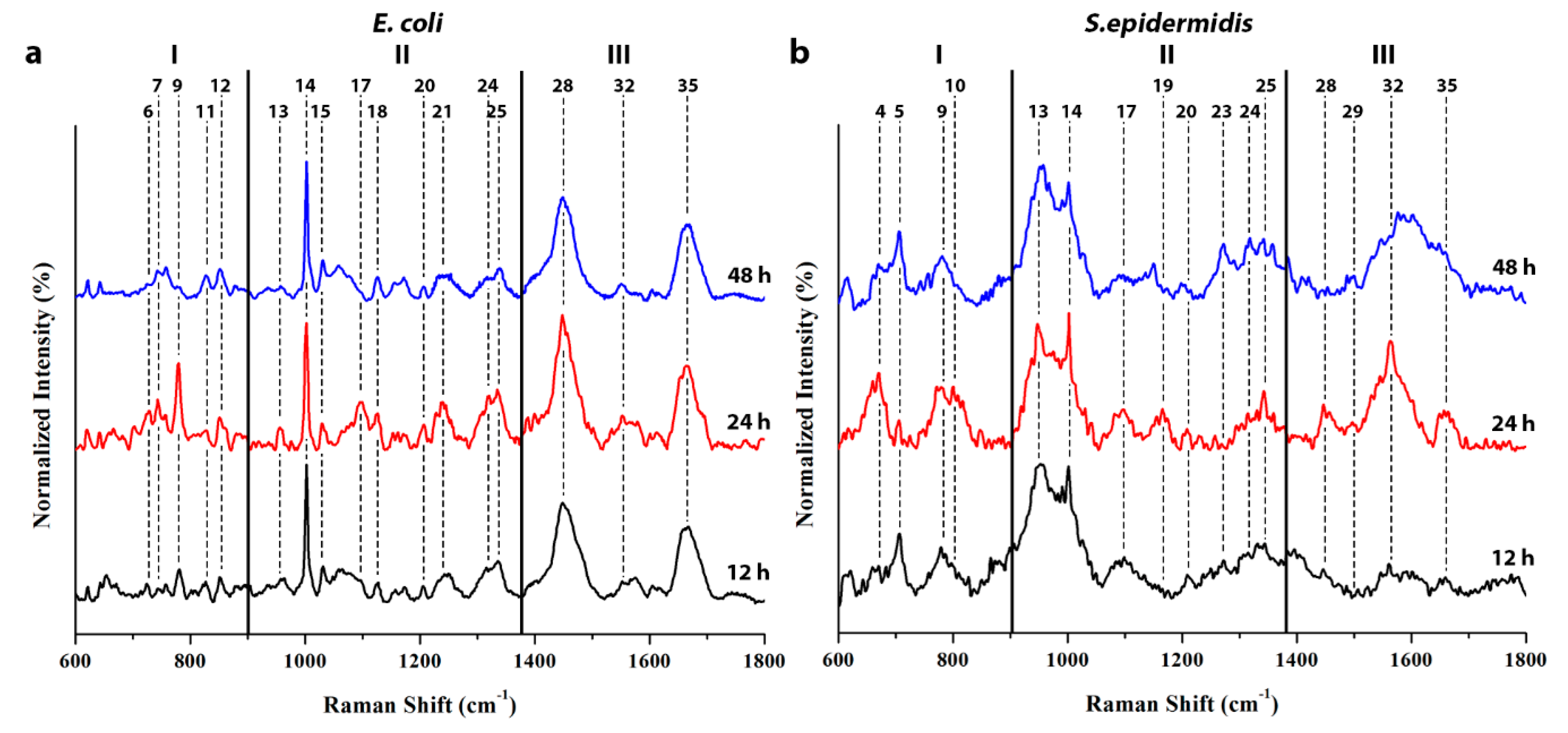 Biosensors Free Full Text Label Free Sers Discrimination And In Situ Analysis Of Life Cycle In Escherichia Coli And Staphylococcus Epidermidis Html