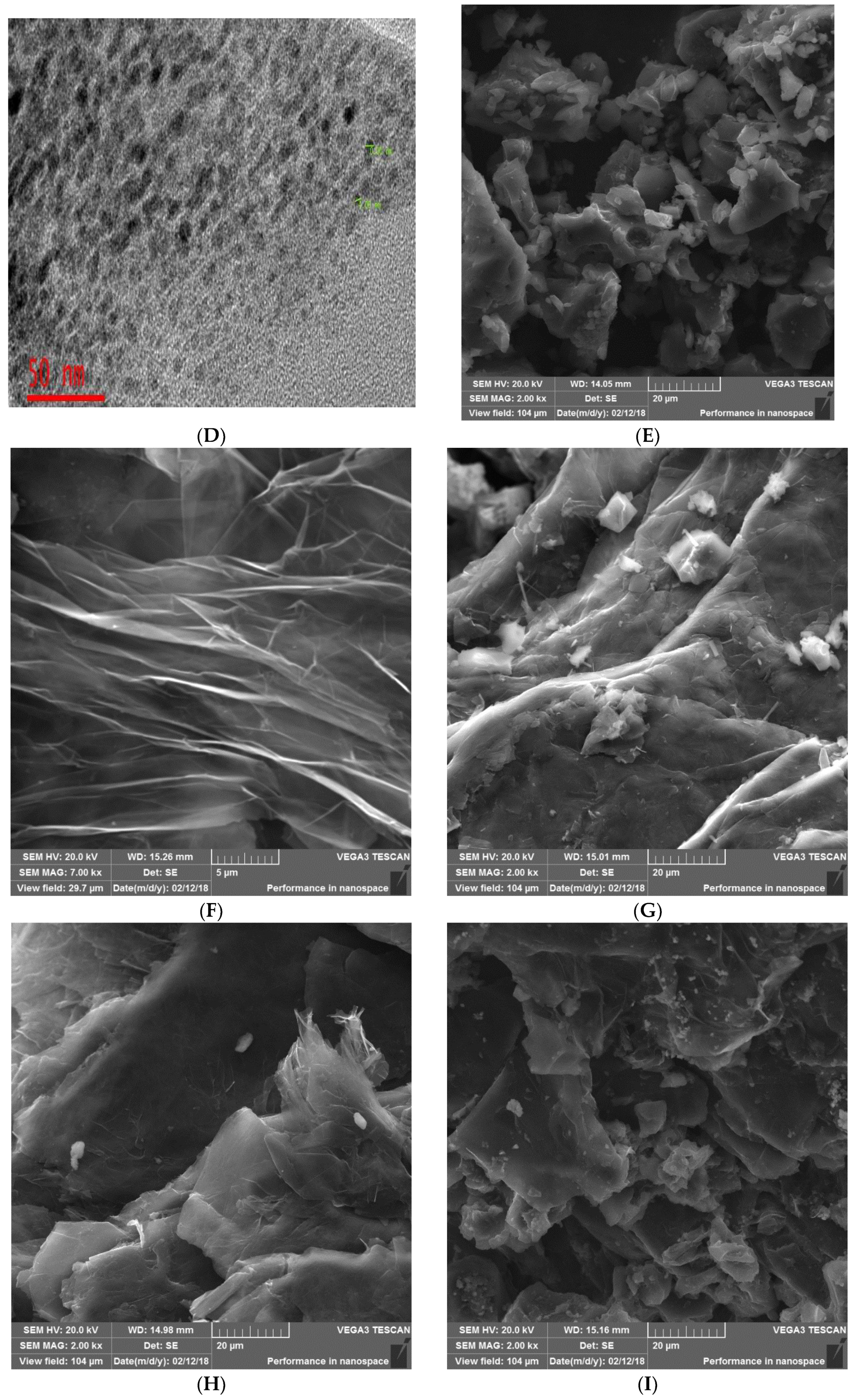 Biosensors 09 00039 g001b
