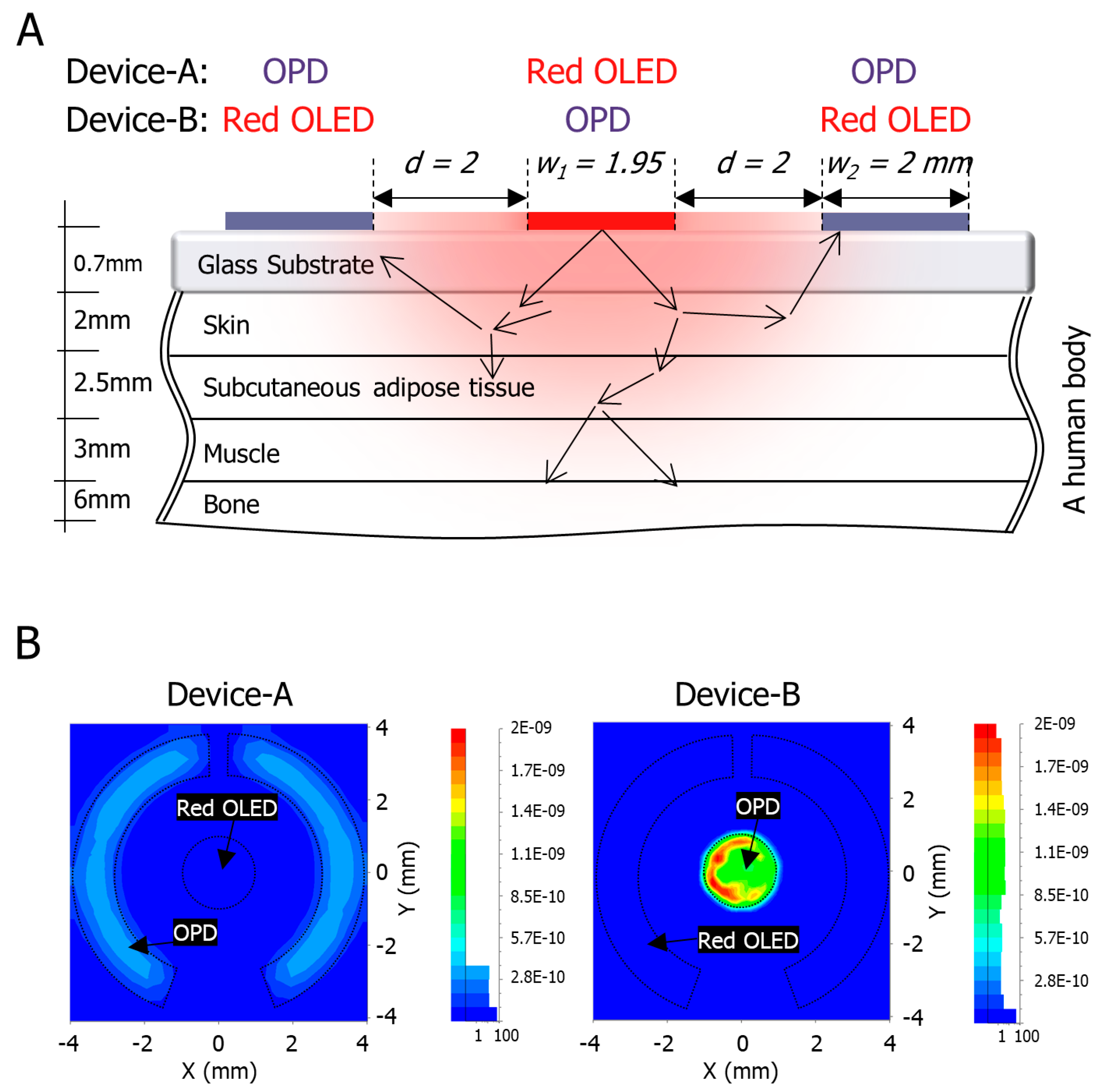 Biosensors 09 00048 g002 Biosensors 09 00048 g002