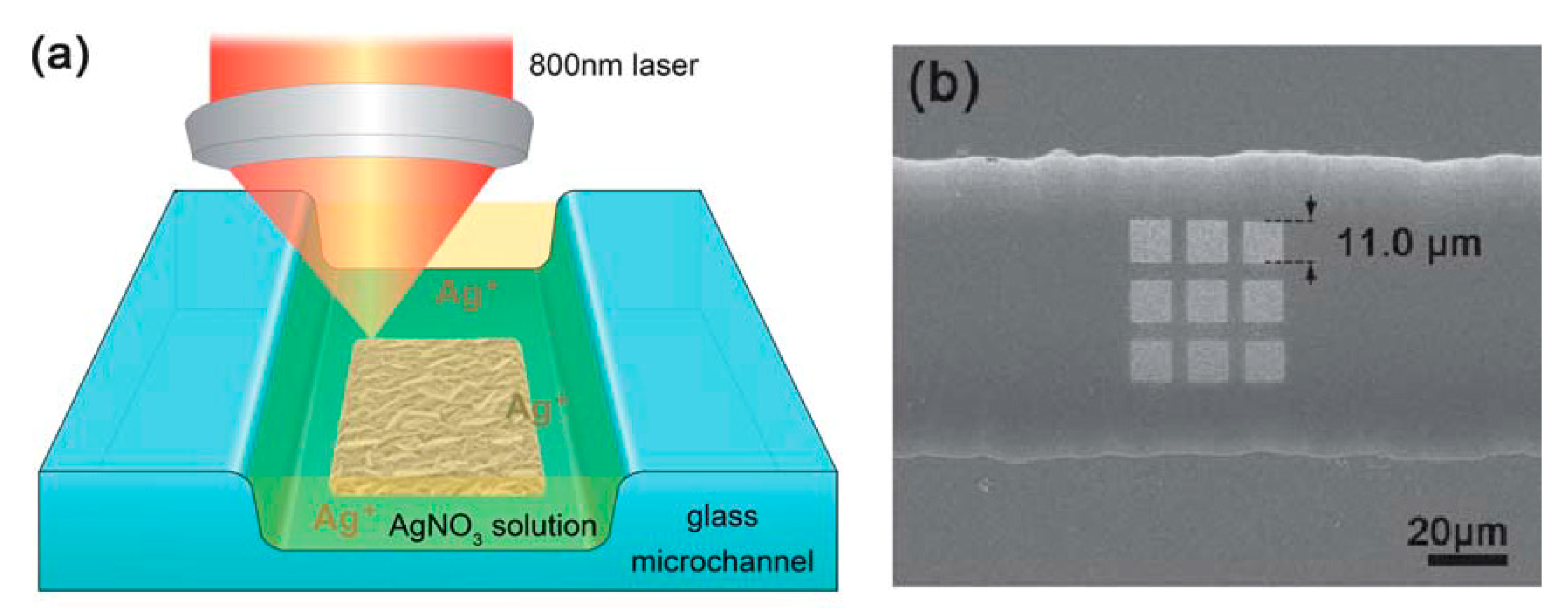 Biosensors 09 00057 g028 Biosensors 09 00057 g028