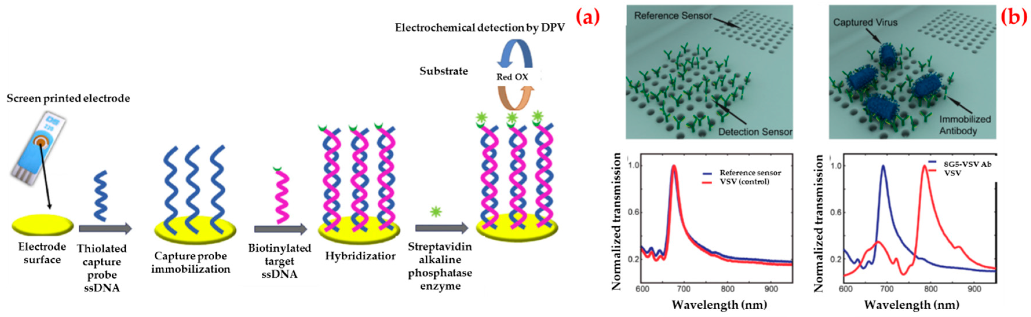 Biosensors 09 00065 g003 Biosensors 09 00065 g003