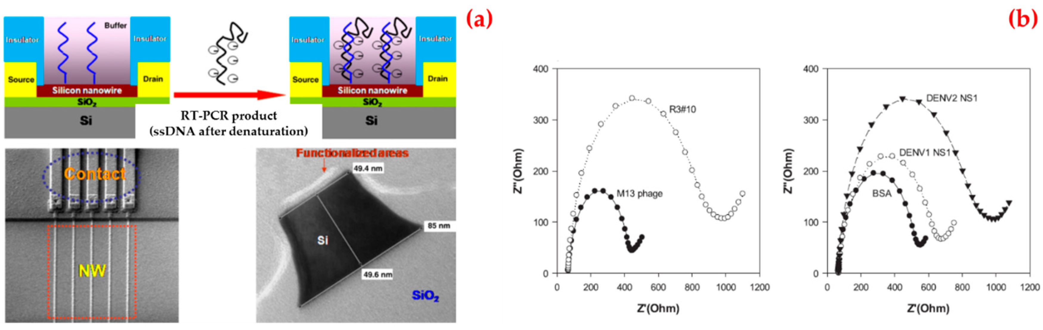 Biosensors 09 00065 g007 Biosensors 09 00065 g007