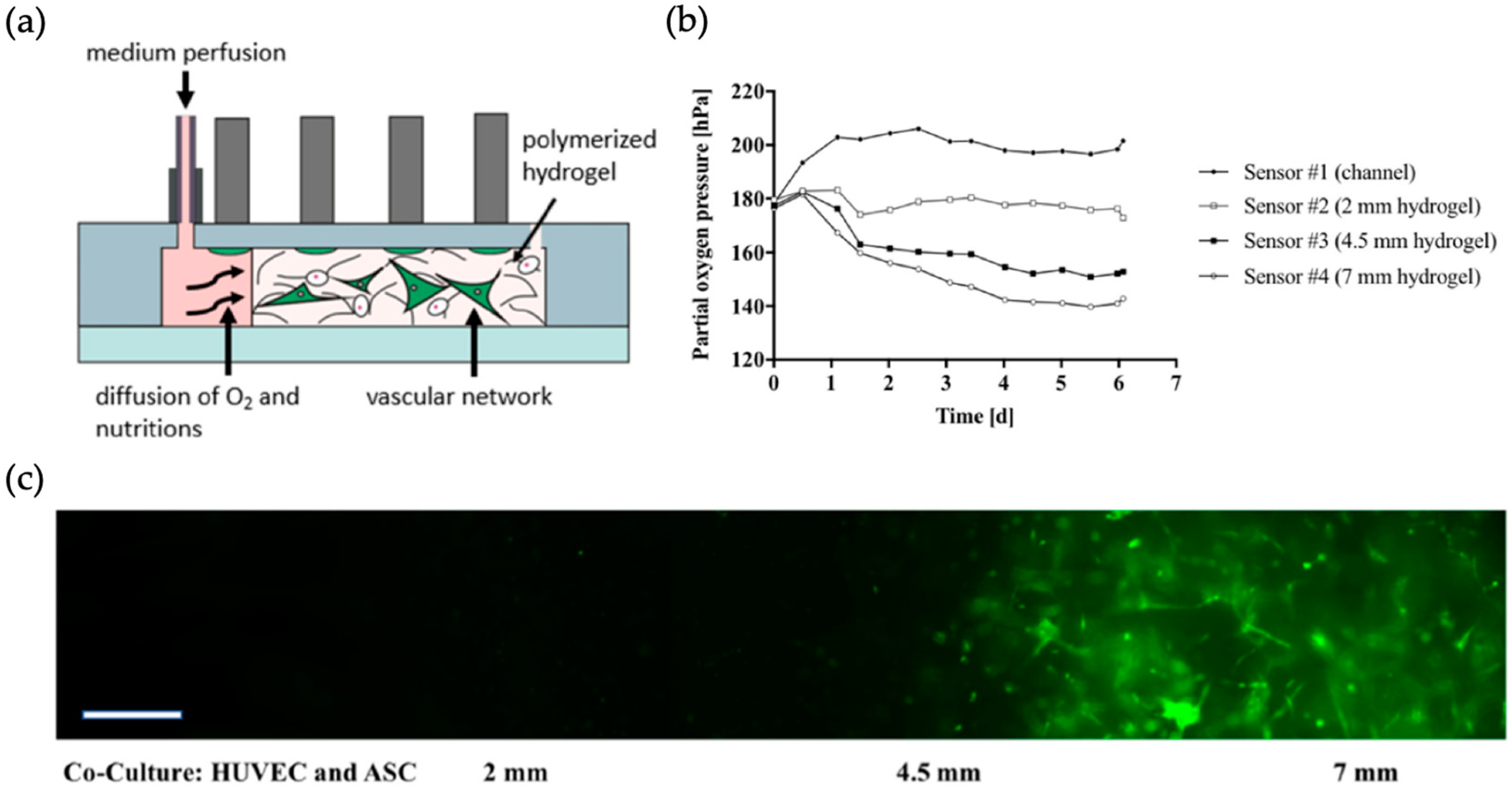 Biosensors 09 00110 g003