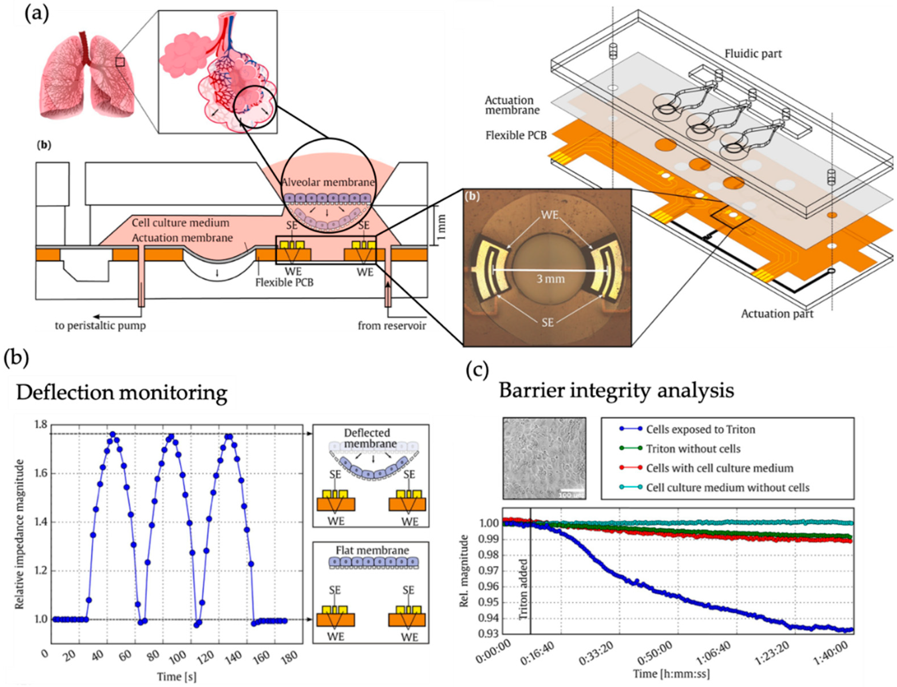 Biosensors 09 00110 g004