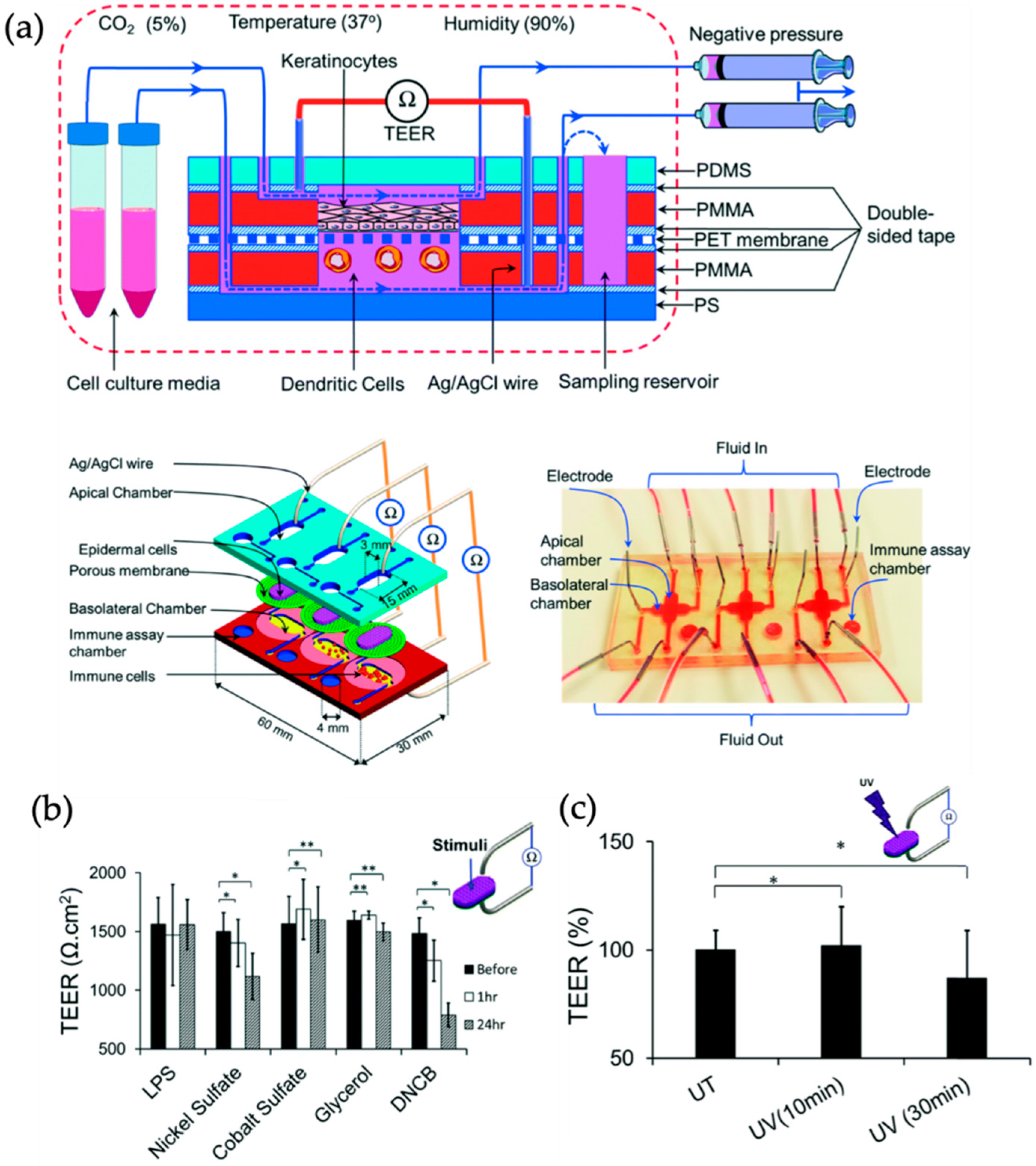 Biosensors 09 00110 g005