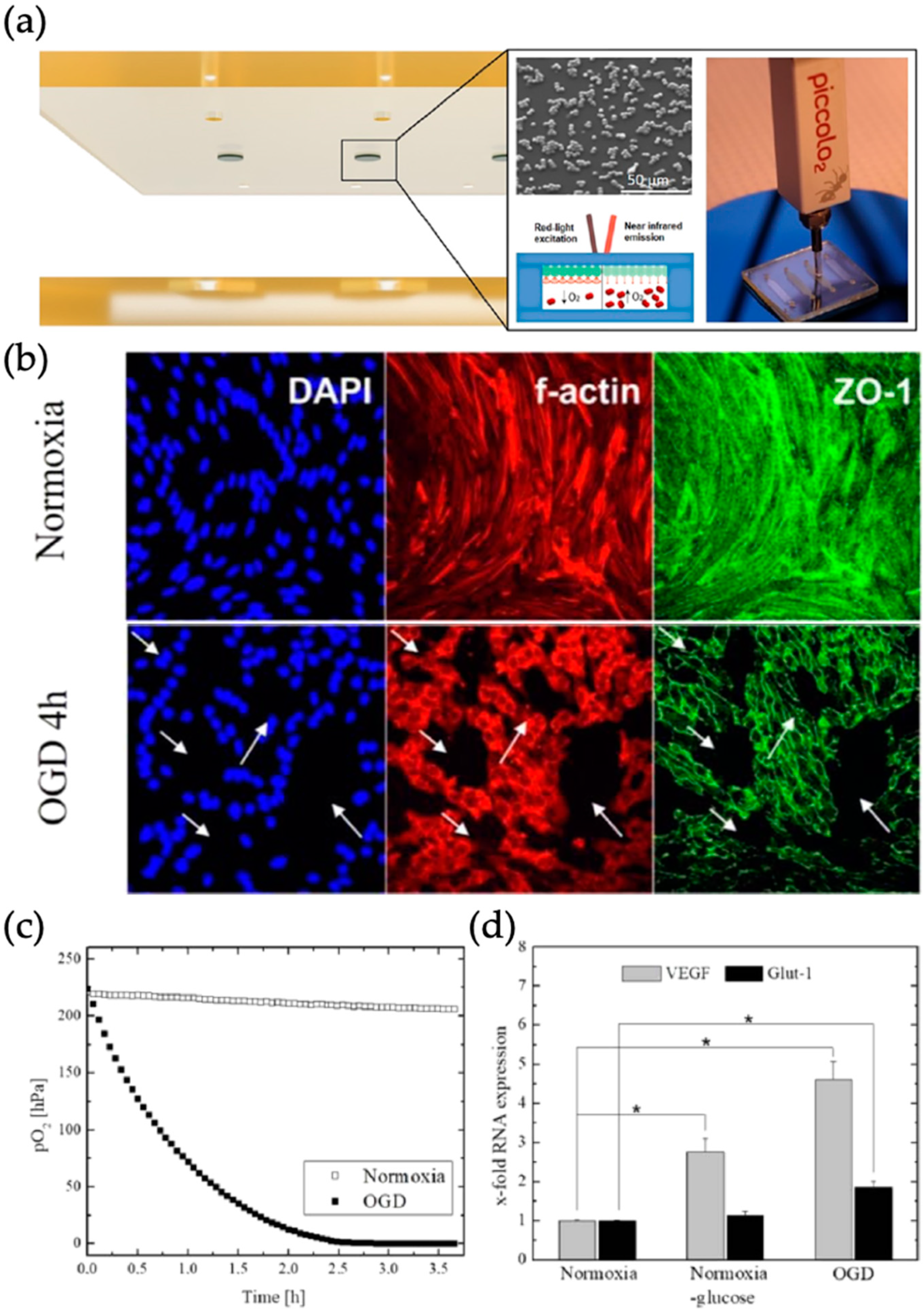 Biosensors 09 00110 g009