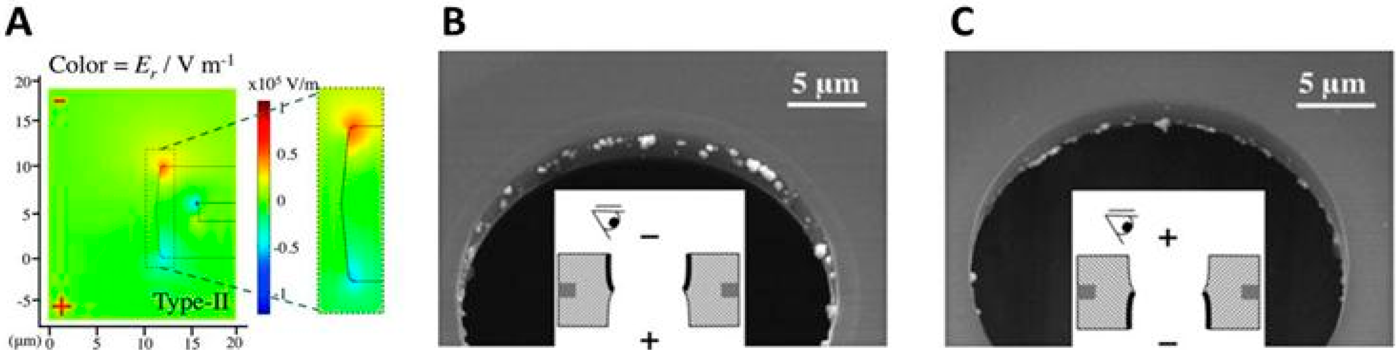 Biosensors 09 00121 g005