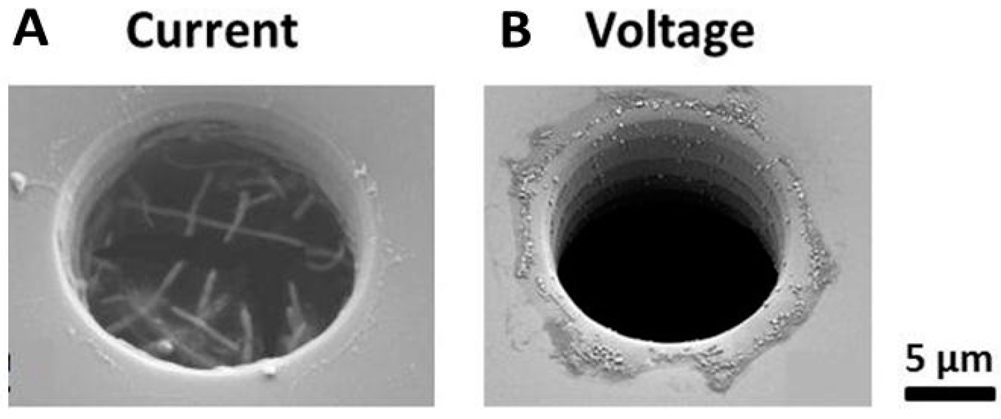 Biosensors 09 00121 g006
