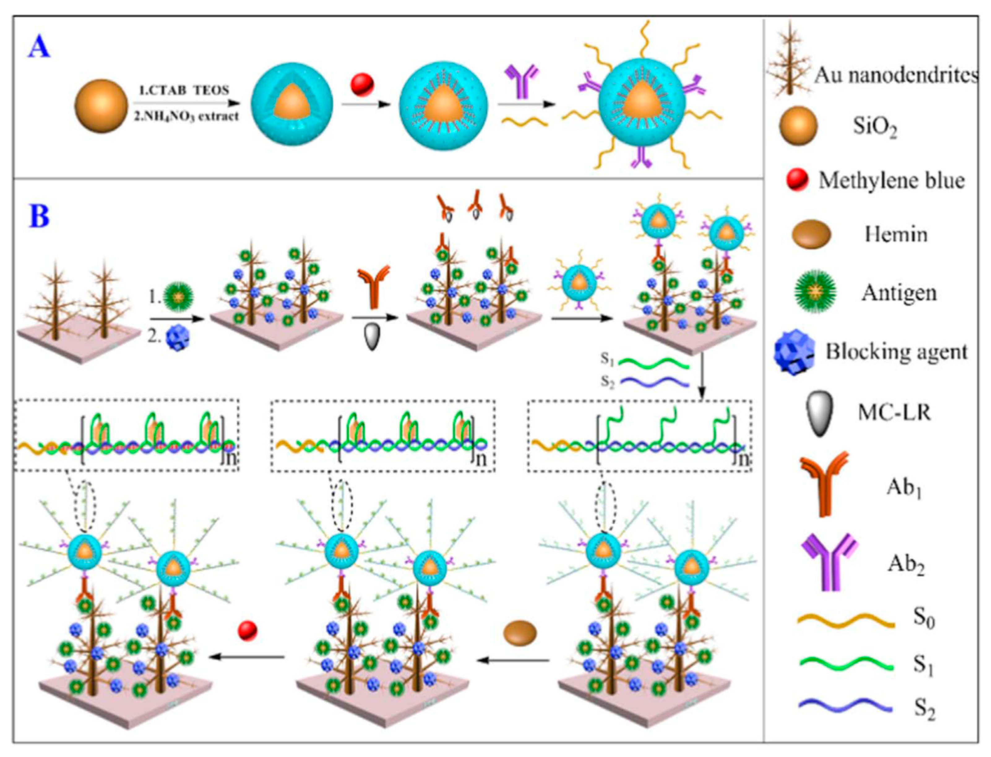 Biosensors | Free Full-Text | What Electrochemical Biosensors Can Do ...