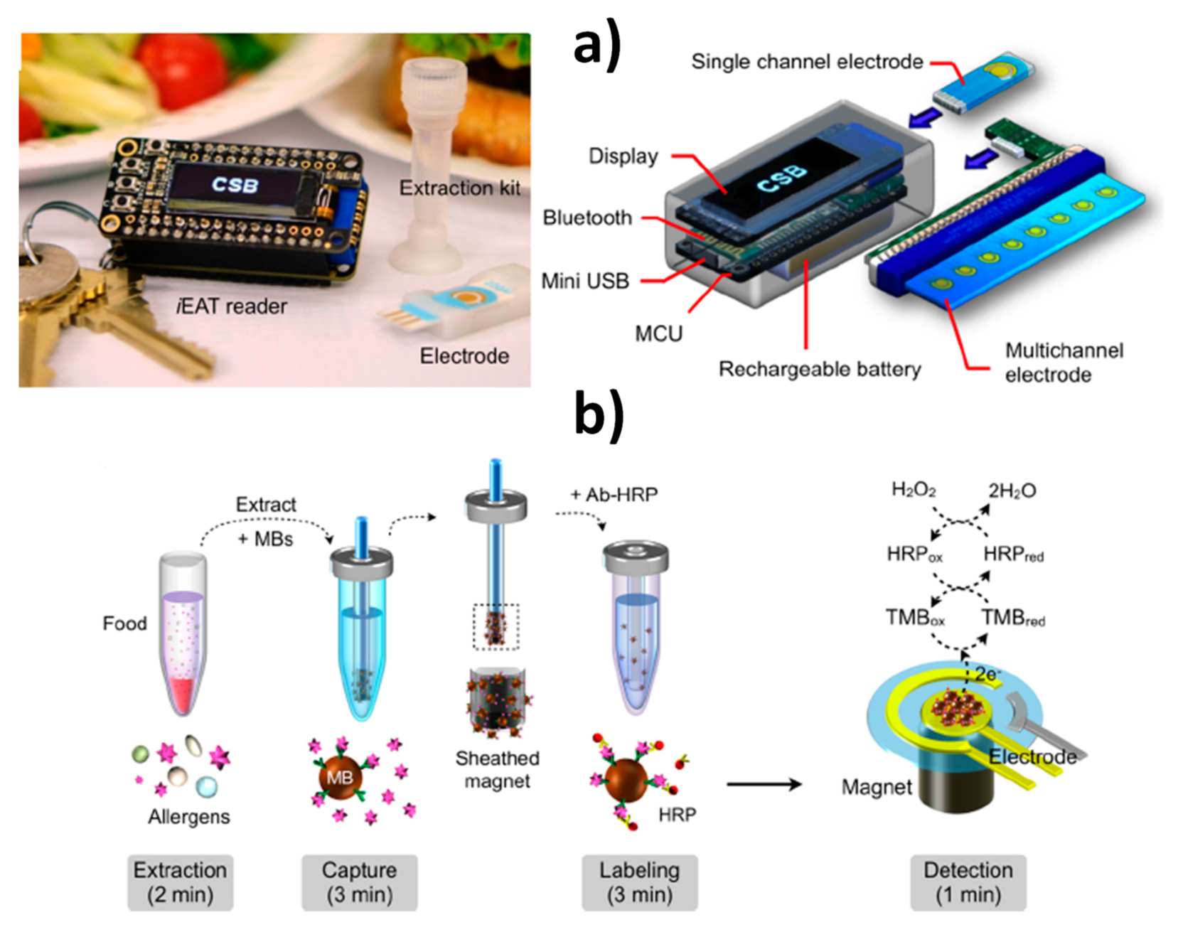 Biosensors Free Full Text Cutting Edge Advances In Electrochemical Affinity Biosensing At