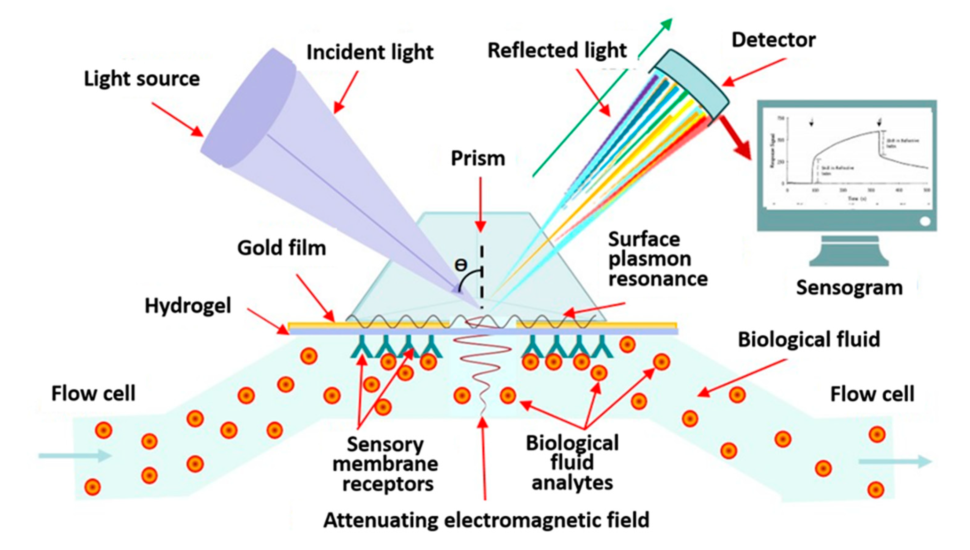 Biosensors, Free Full-Text