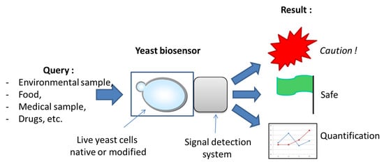 Biosensors 10 00051 g001 550