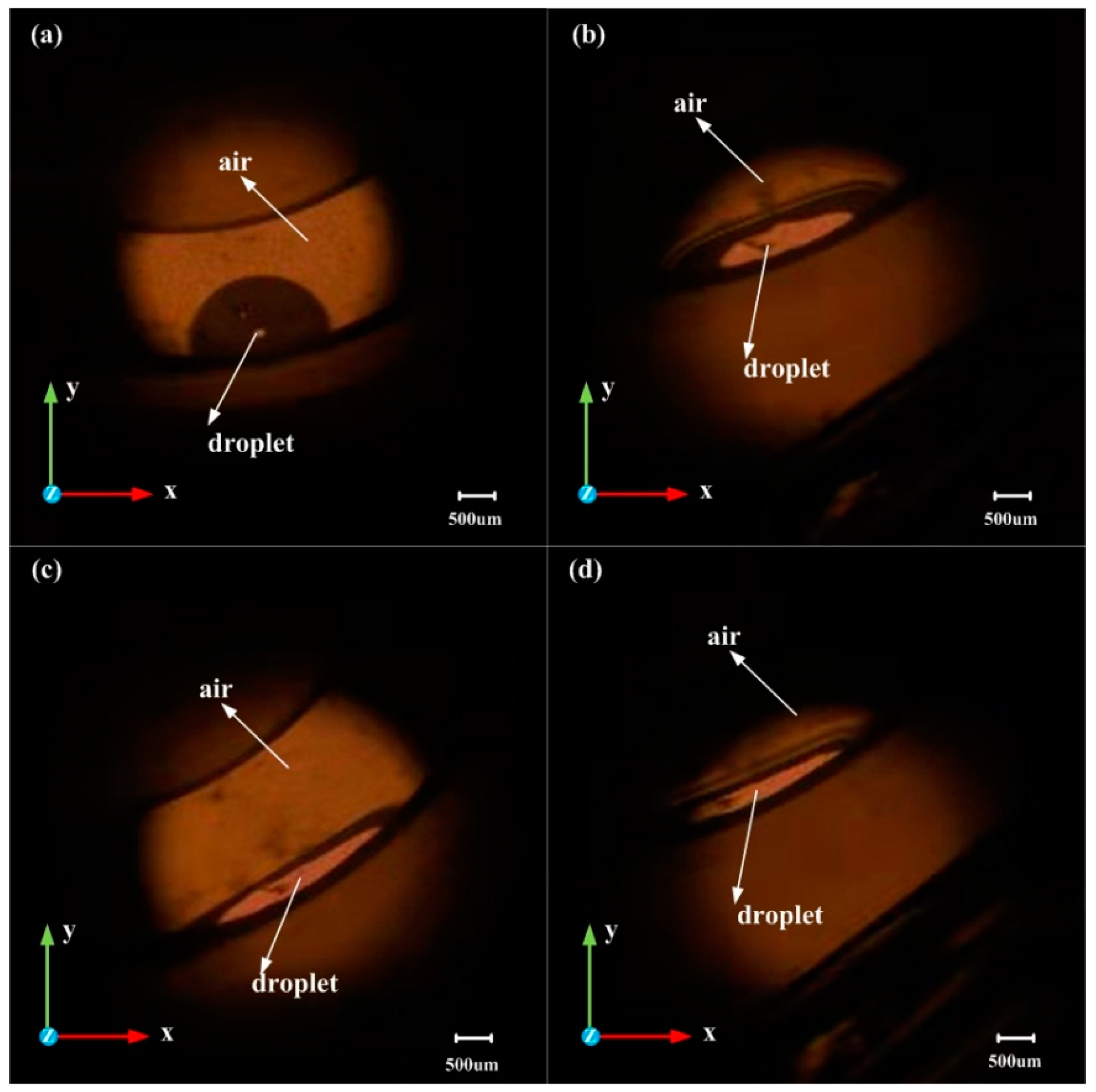 Biosensors 10 00061 g011 Biosensors 10 00061 g011