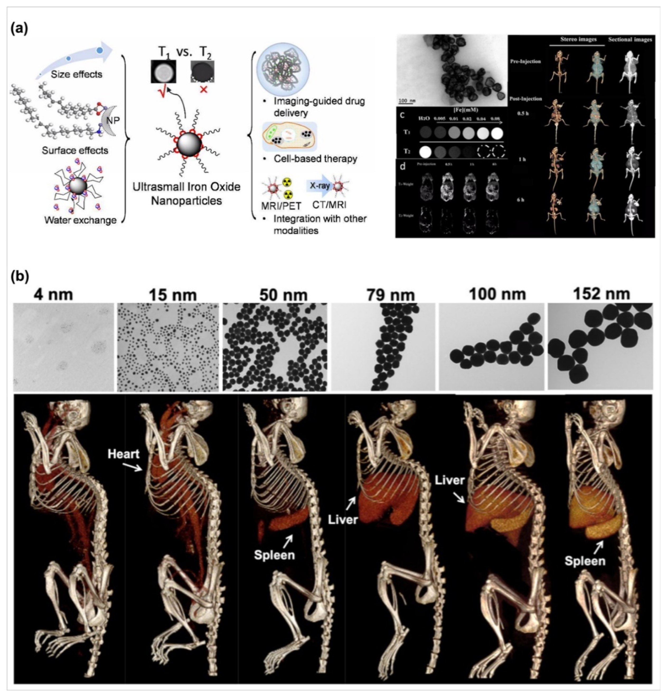 Biosensors 10 00088 g004