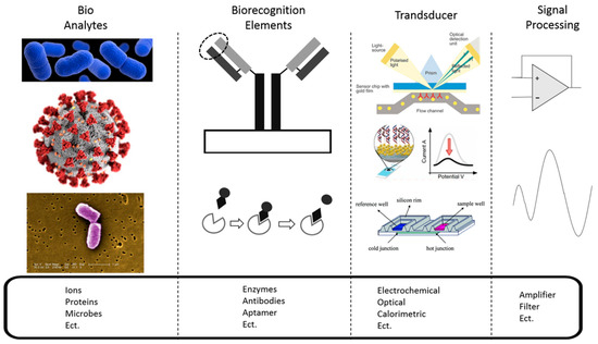 Biosensors | Free Full-Text | Recent Advances in Portable Biosensors for  Biomarker Detection in Body Fluids