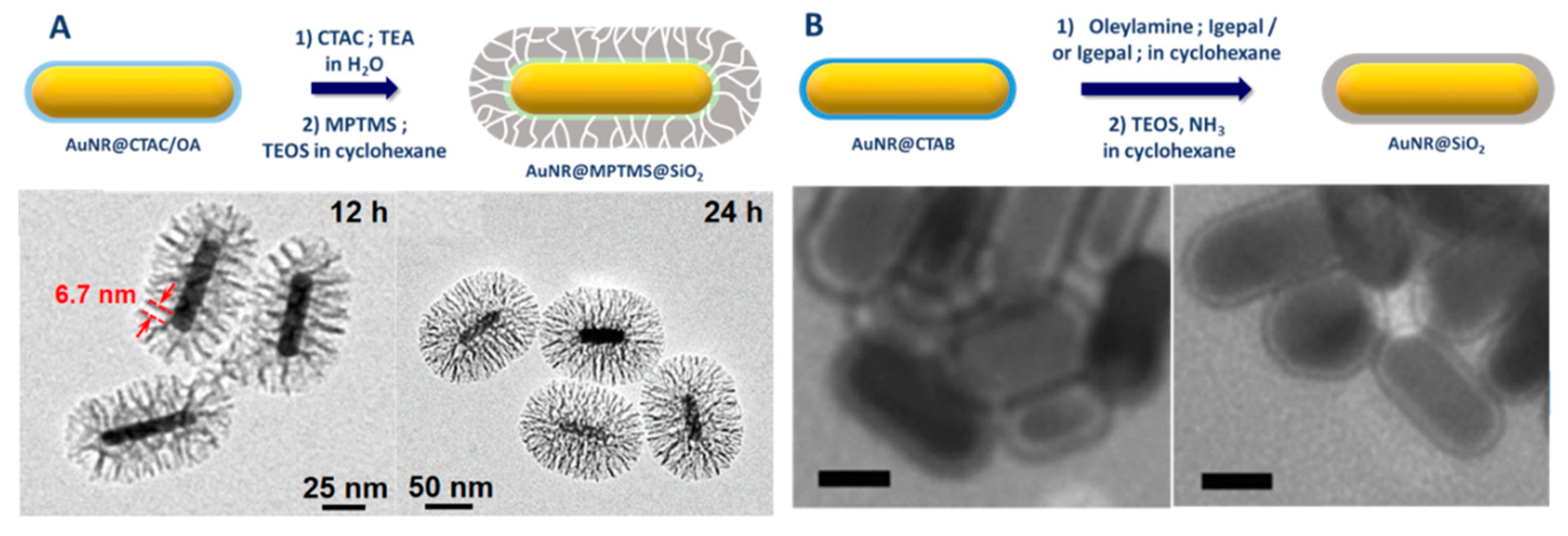 Biosensors Free Full Text Gold Nanorods For Lspr Biosensing Synthesis Coating By Silica 0714