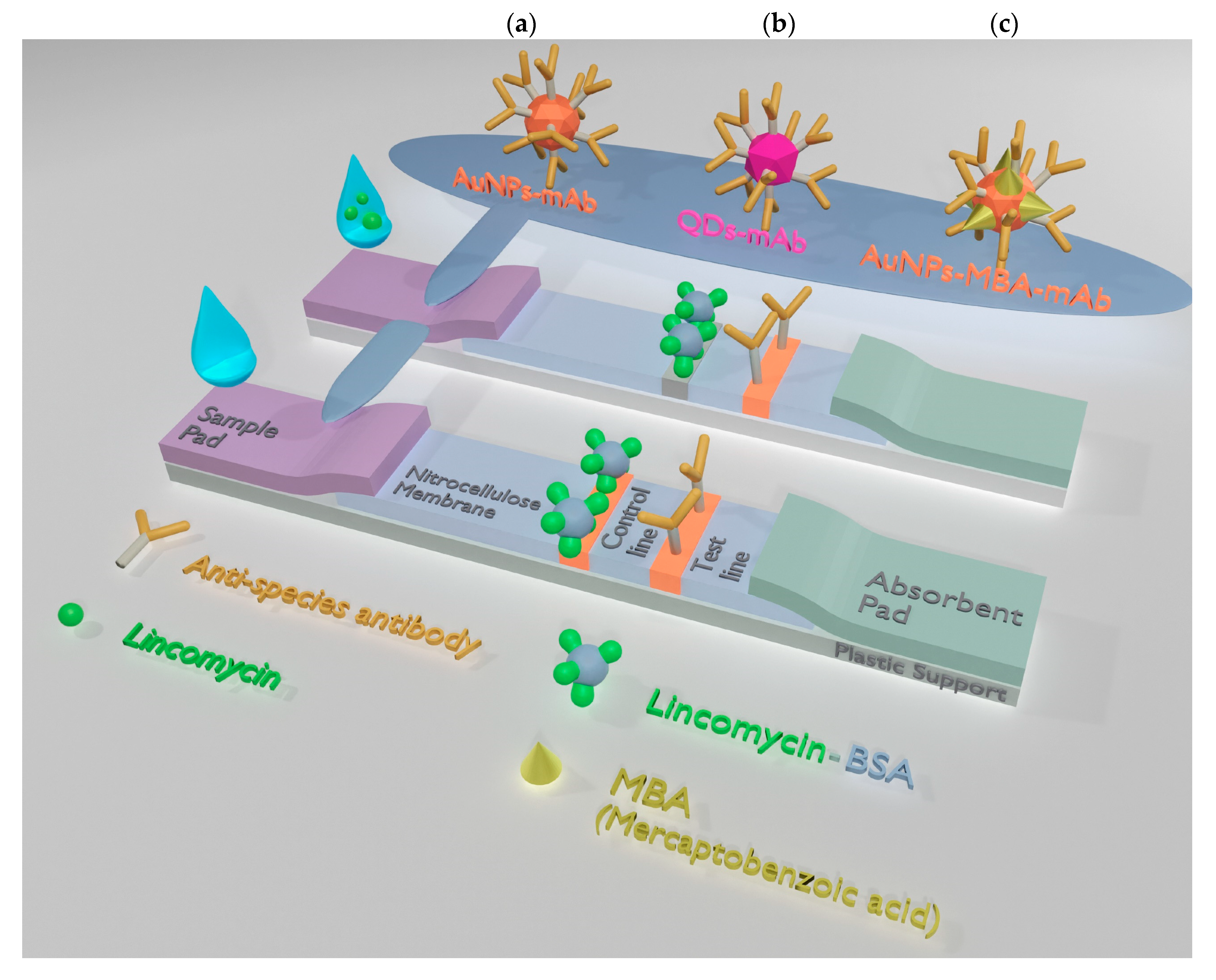 Biosensors 10 00198 g001 Biosensors 10 00198 g001