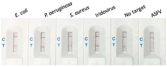 Biosensors December 2020 Browse Articles