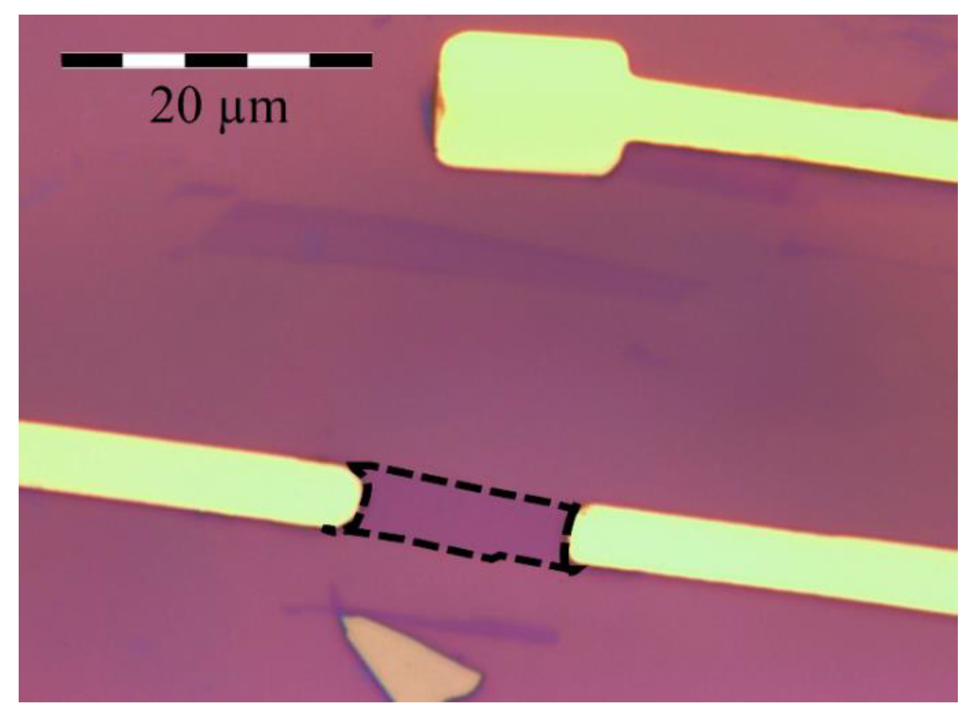 Biosensors 10 00206 g001