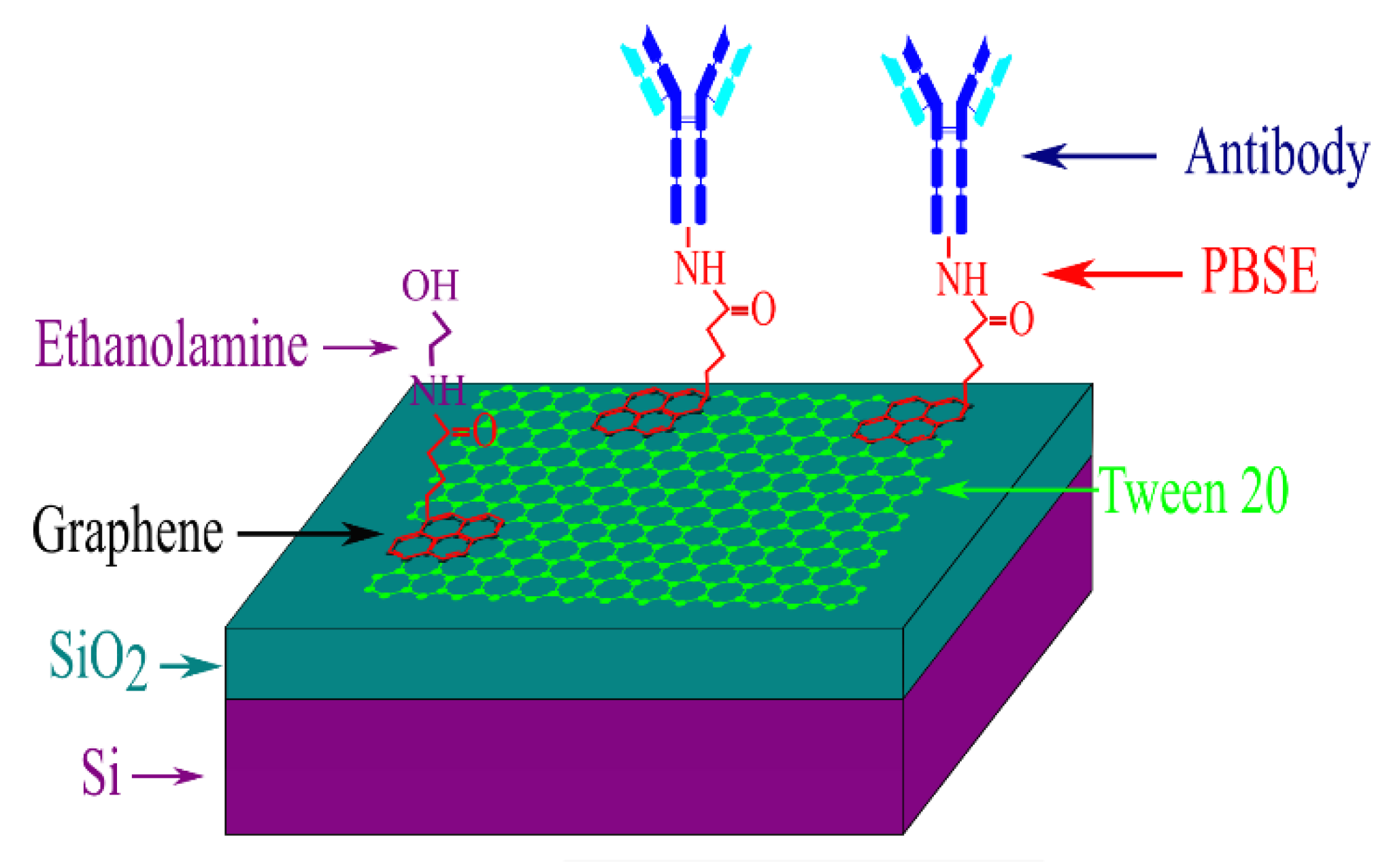 Biosensors 10 00206 g002