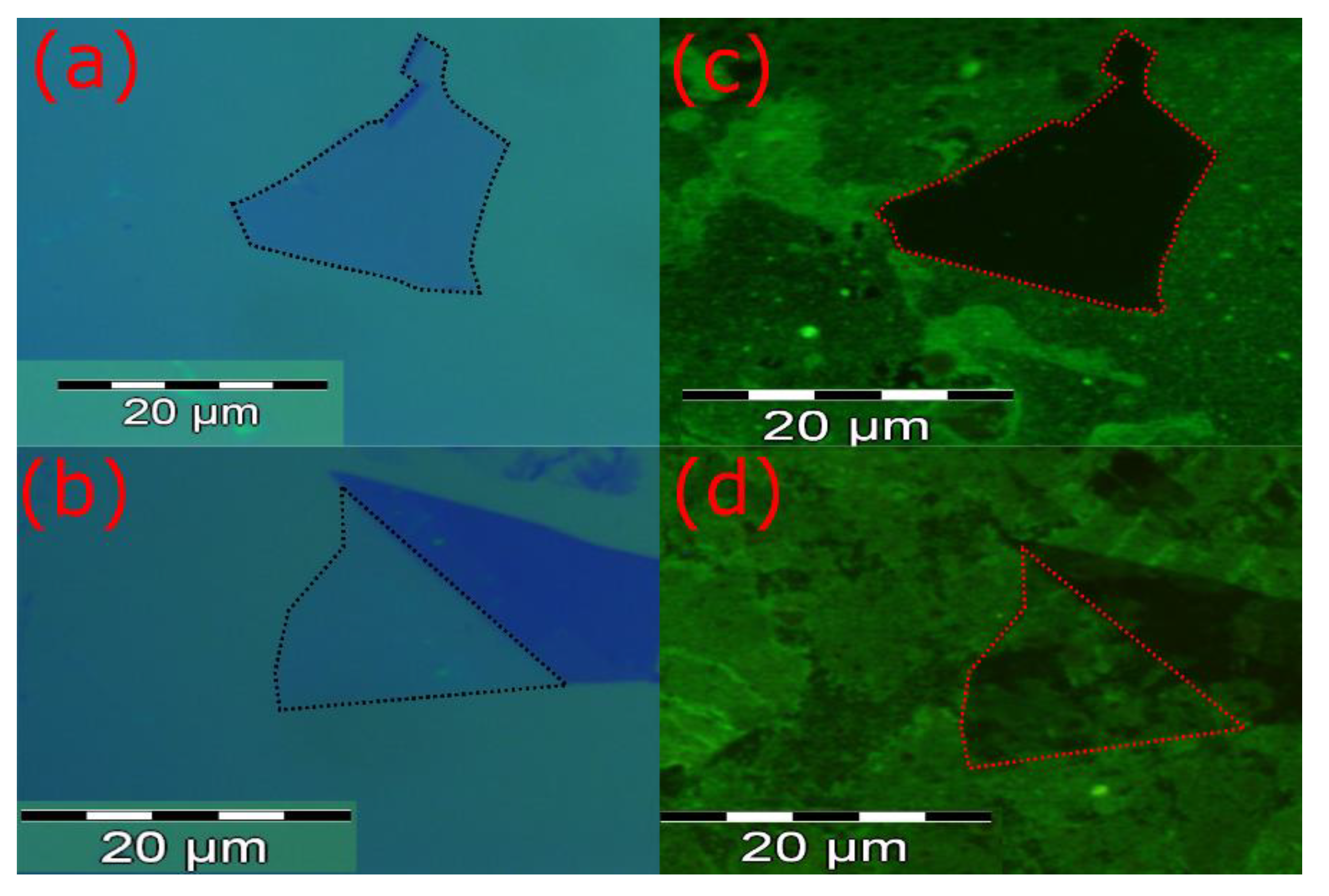 Biosensors 10 00206 g004