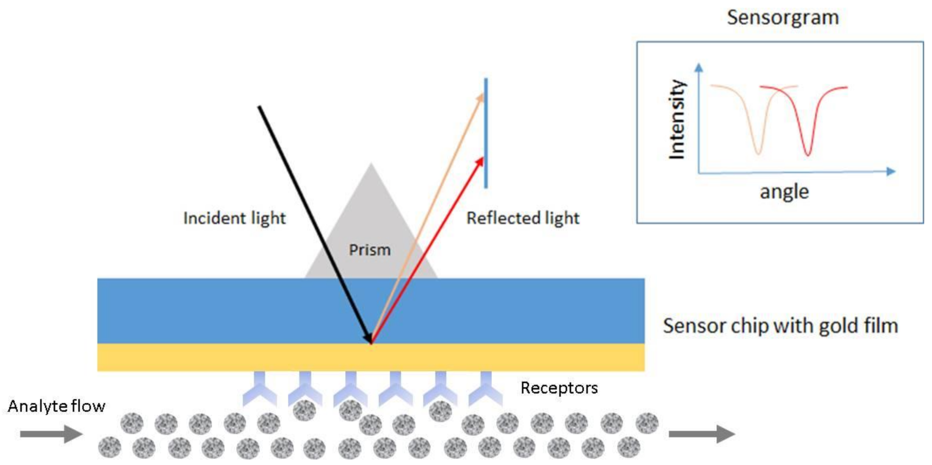 Biosensors 10 00209 g005