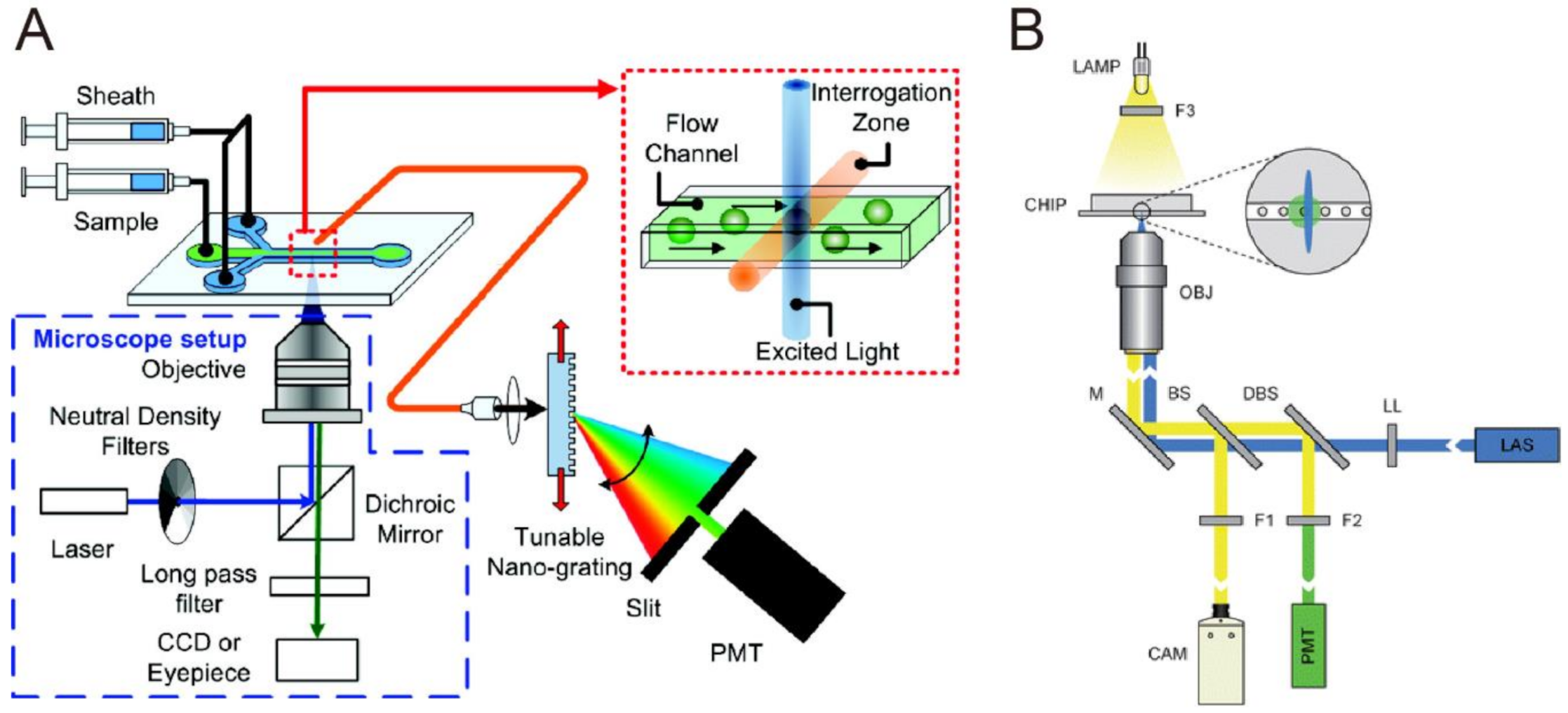 Biosensors 10 00209 g007