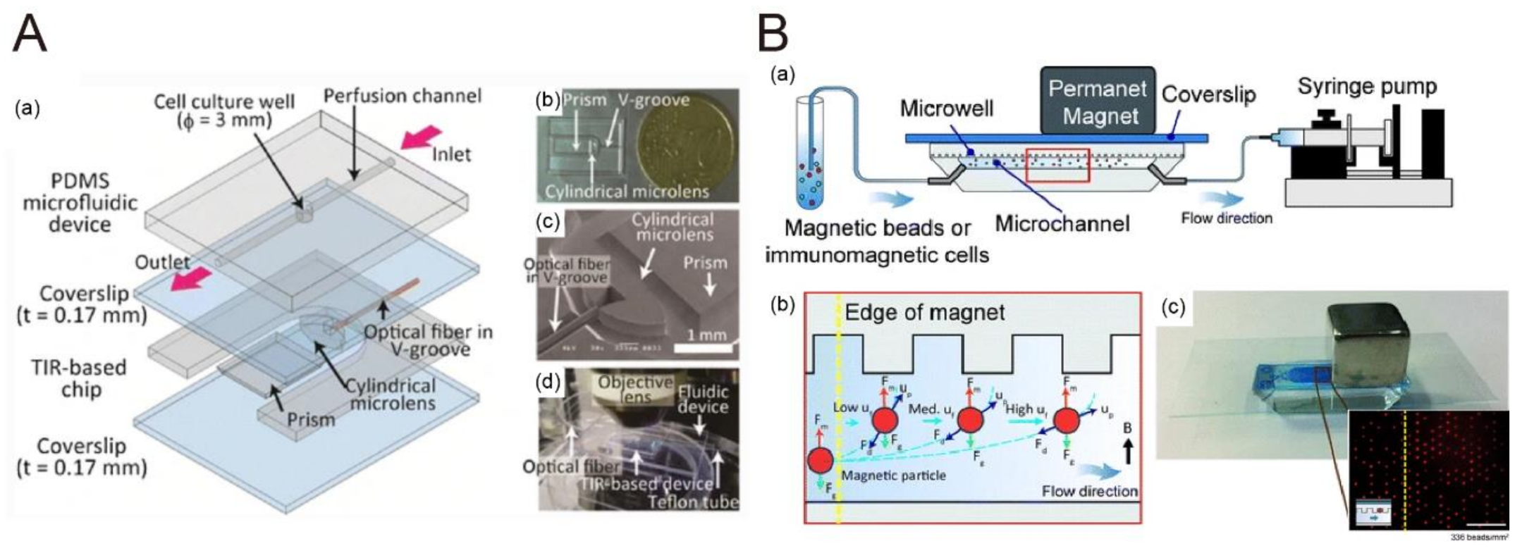 Biosensors 10 00209 g008