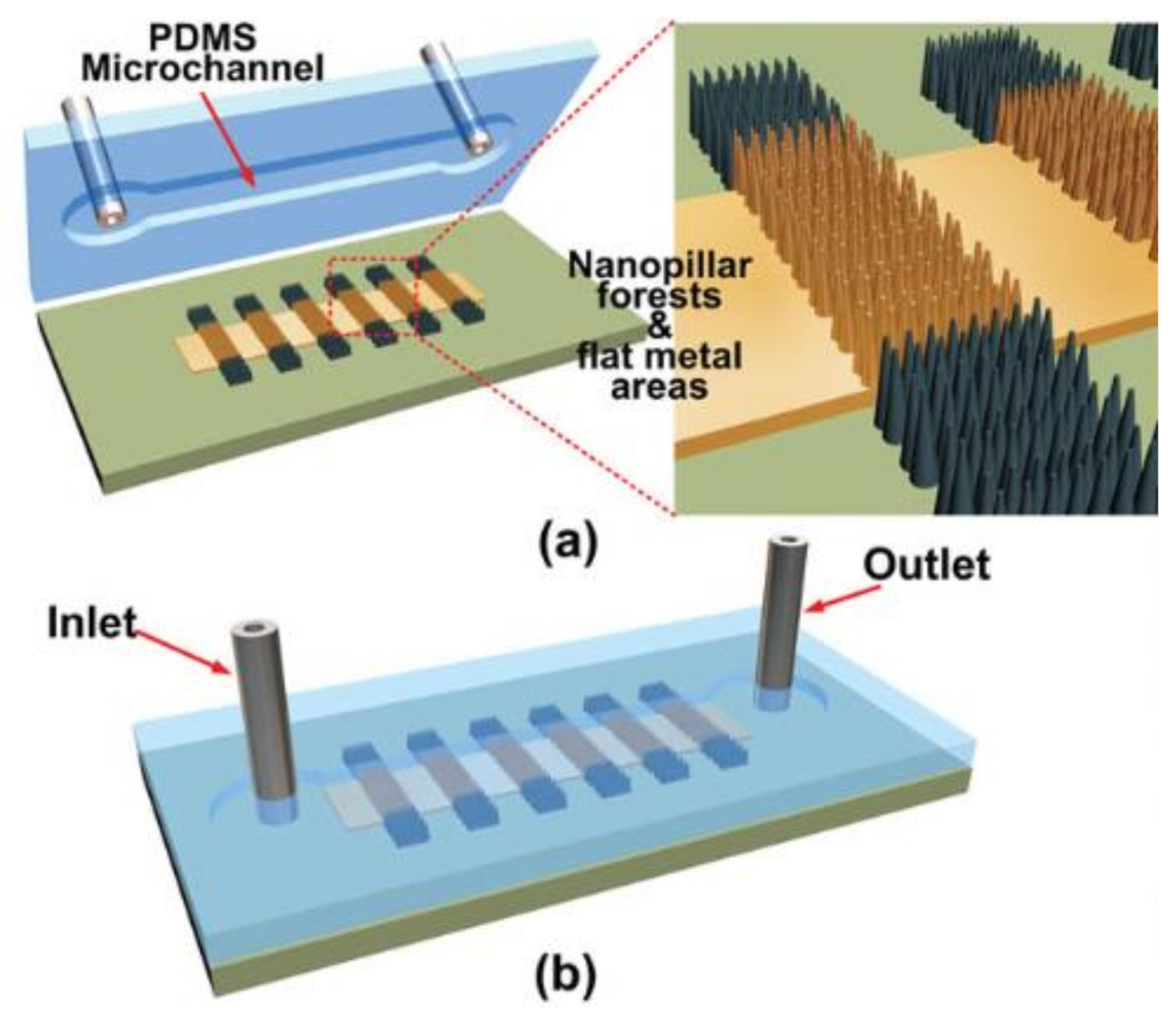 Biosensors 10 00209 g009