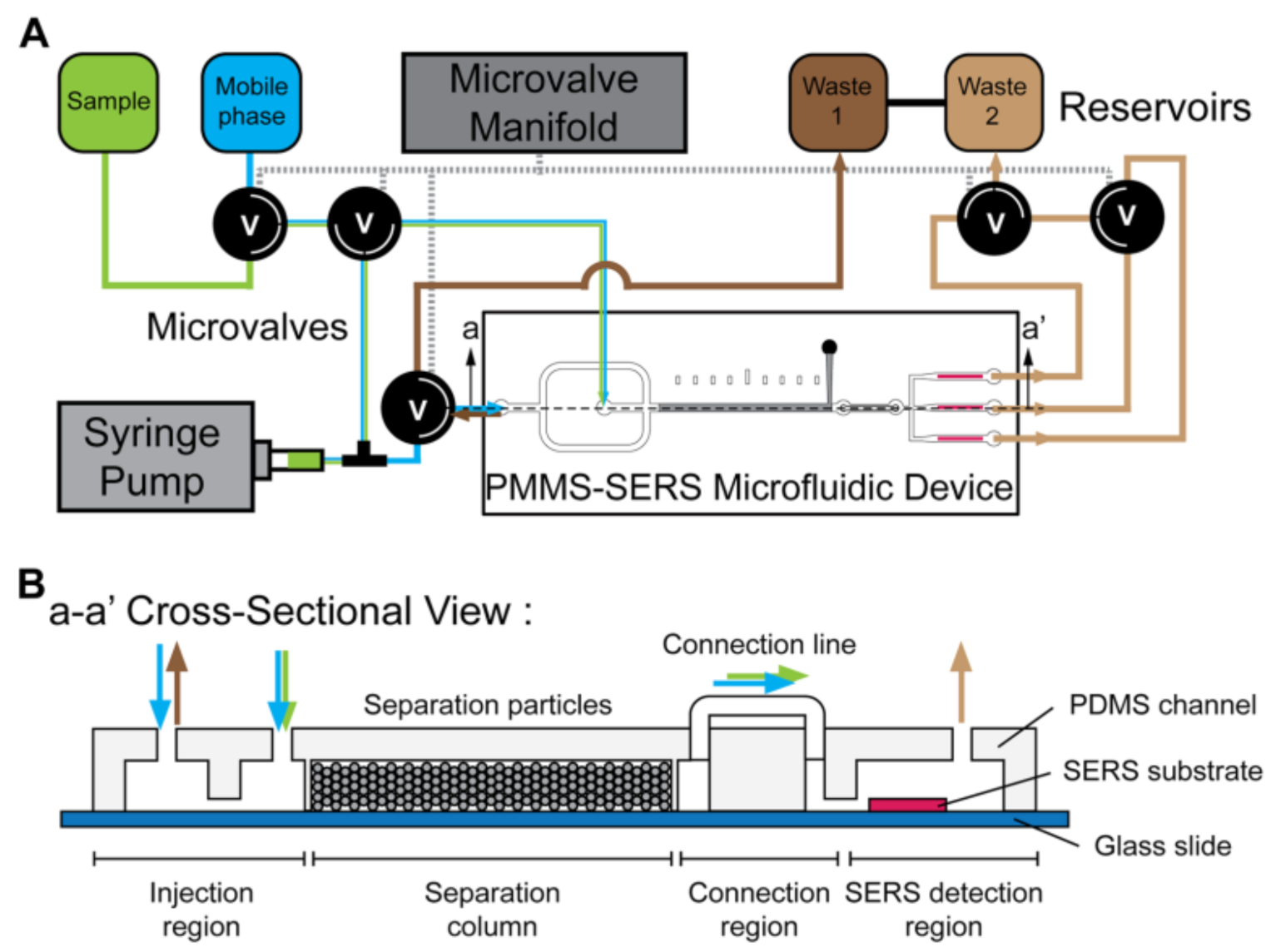 Biosensors 10 00209 g010