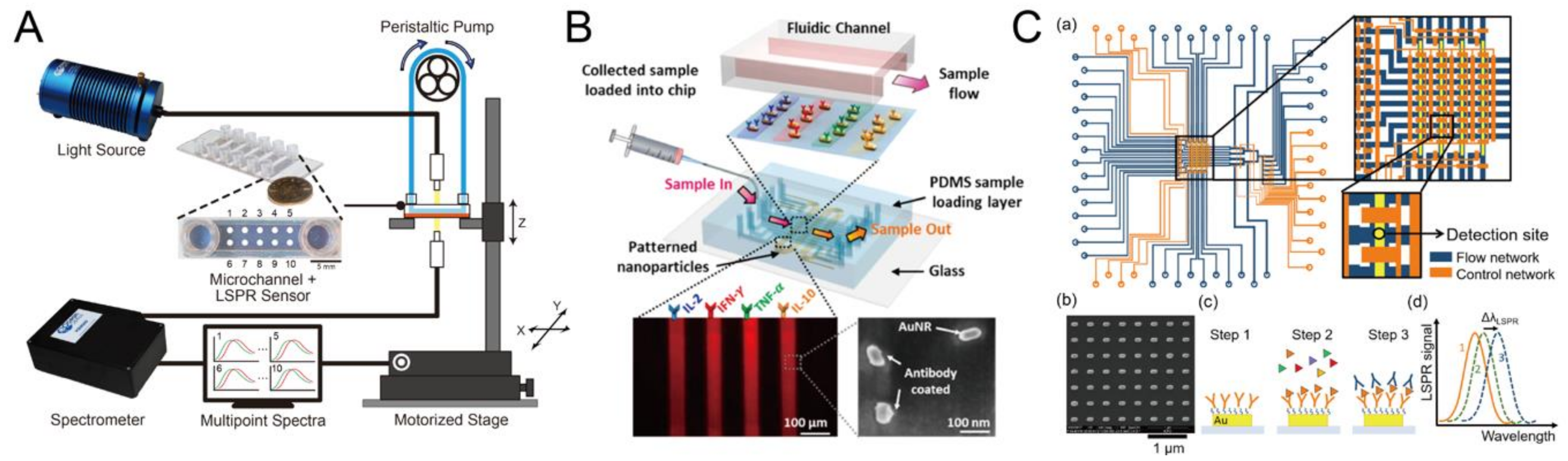 Biosensors 10 00209 g012