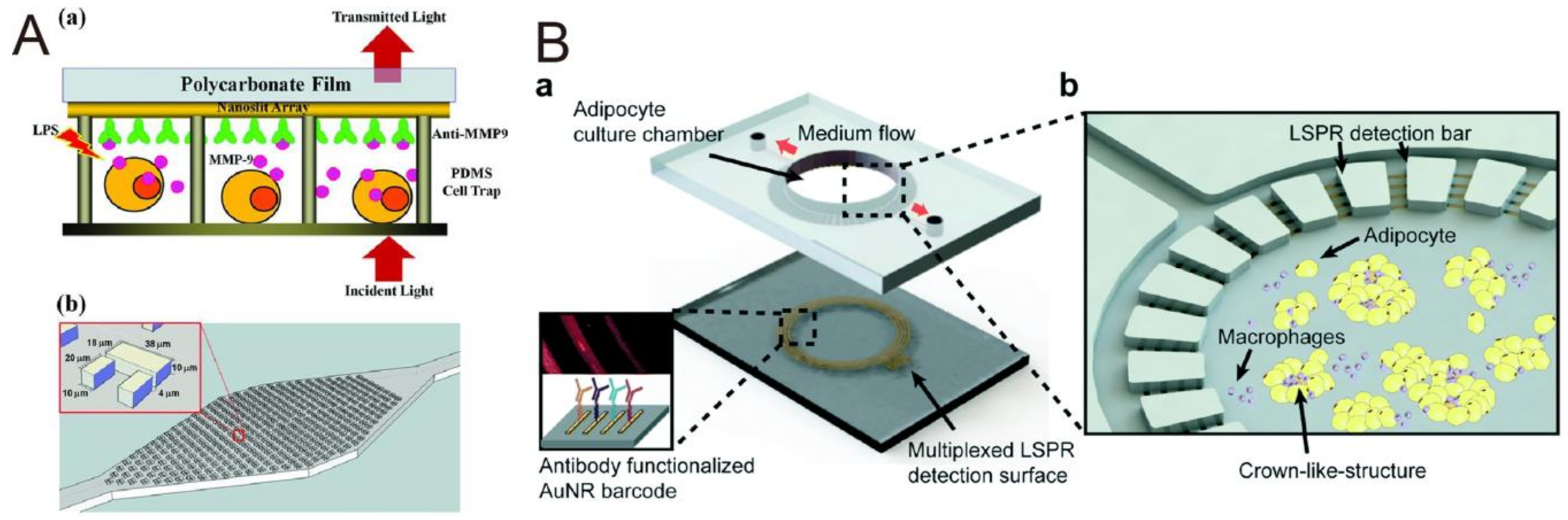 Biosensors 10 00209 g013