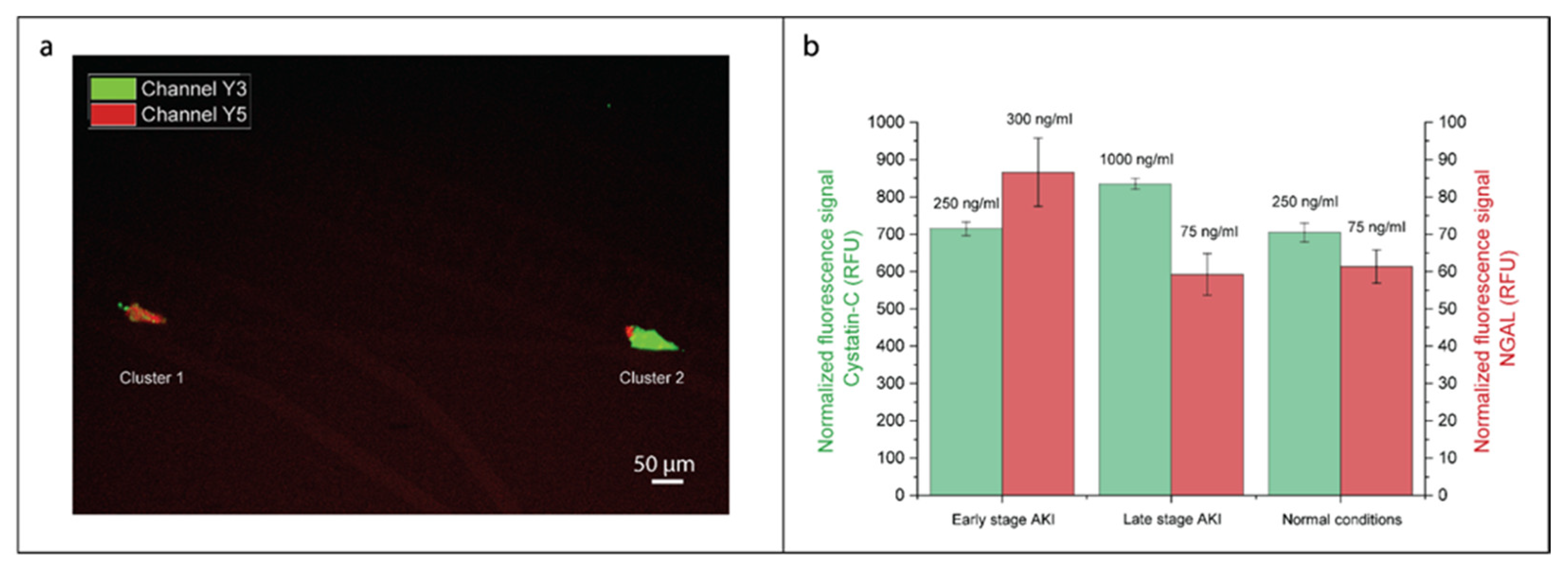 Biosensors 10 00212 g006