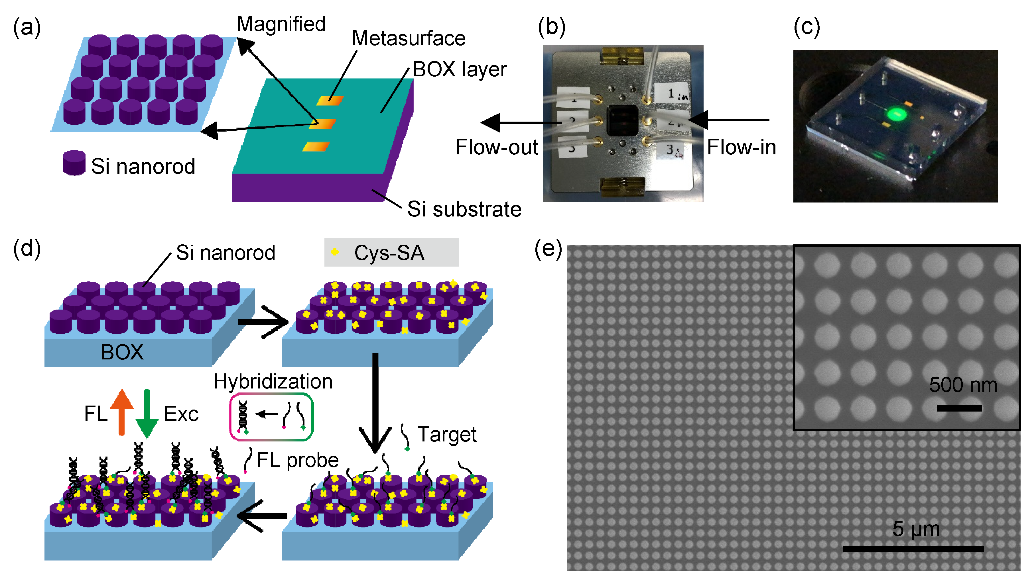 Biosensors Free Full Text High Sensitivity High Throughput Detection Of Nucleic Acid Targets