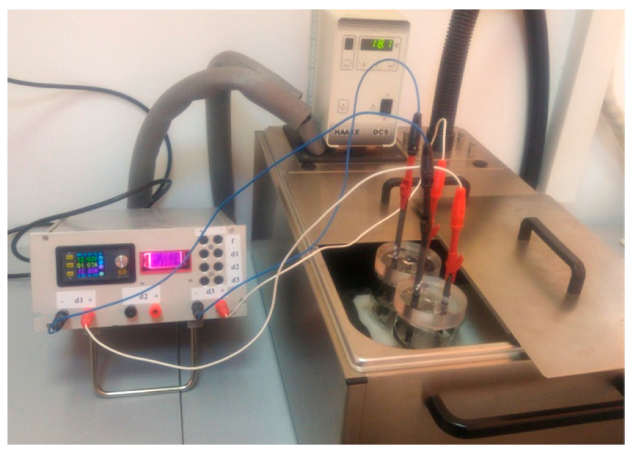 Biosensors 11 00036 g001 Biosensors 11 00036 g001