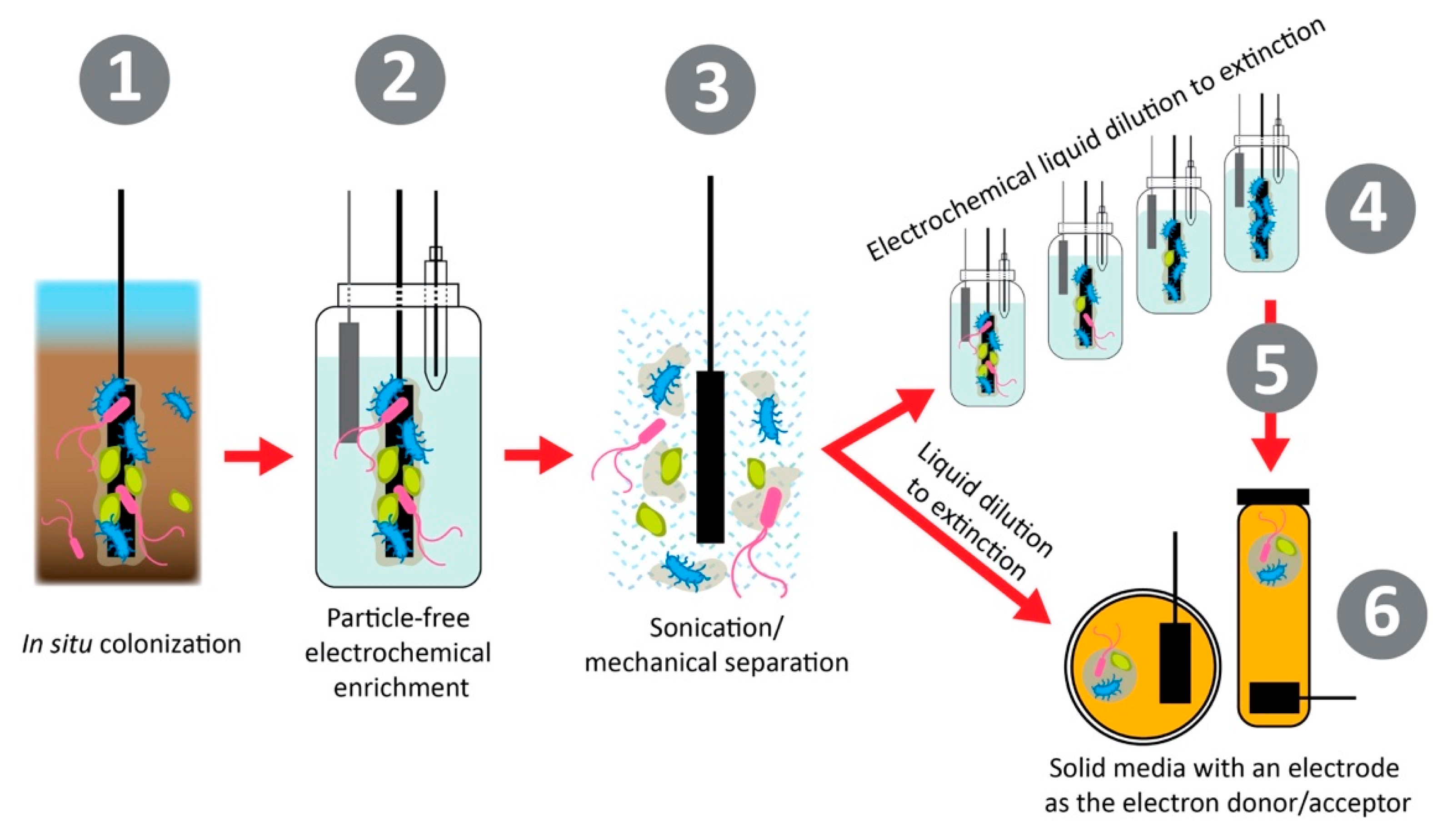 Biosensors 11 00048 g005