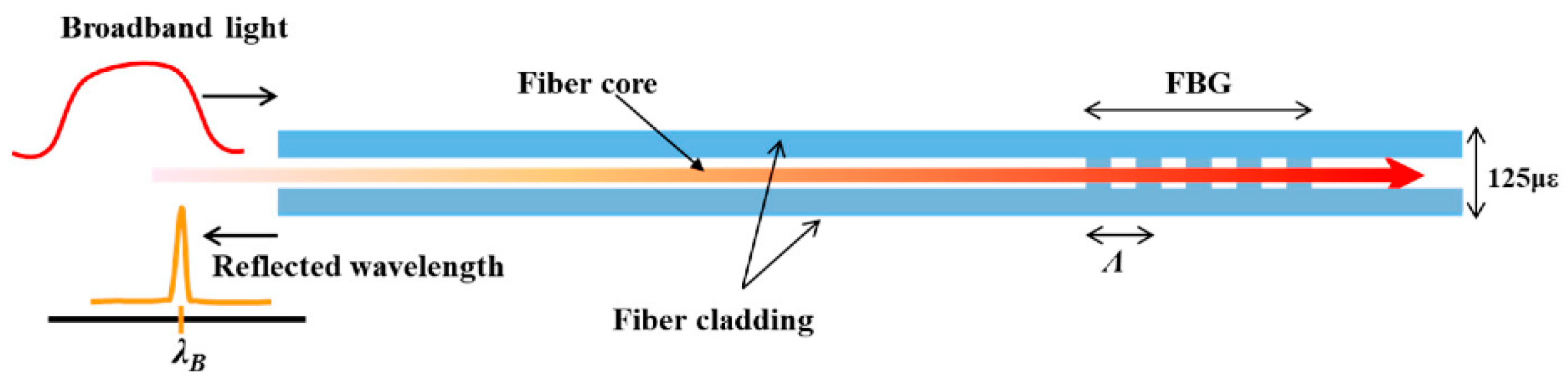 Biosensors 11 00058 g001