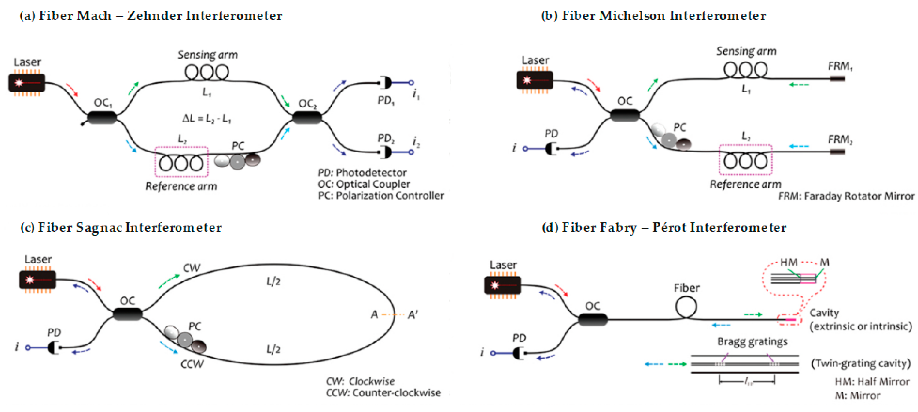 Biosensors 11 00058 g005
